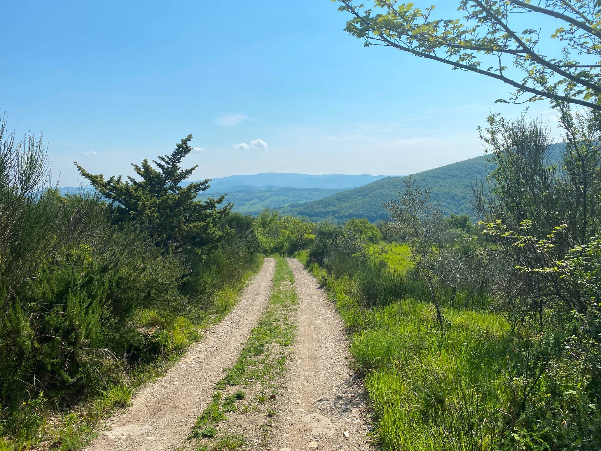 Porzione di casale in stile rustico Toscano ristrutturato con terreno in ottima posizione in vendita