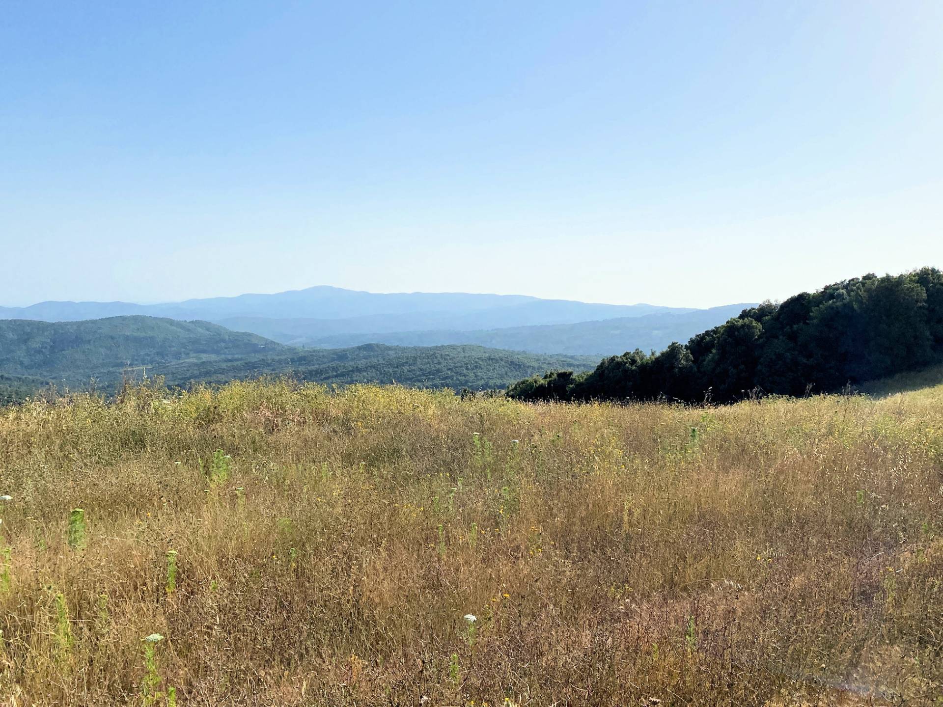 Colonica in pietra da ristrutturare con vista panoramica mozzafiato in vendita a Monteverdi Marittim