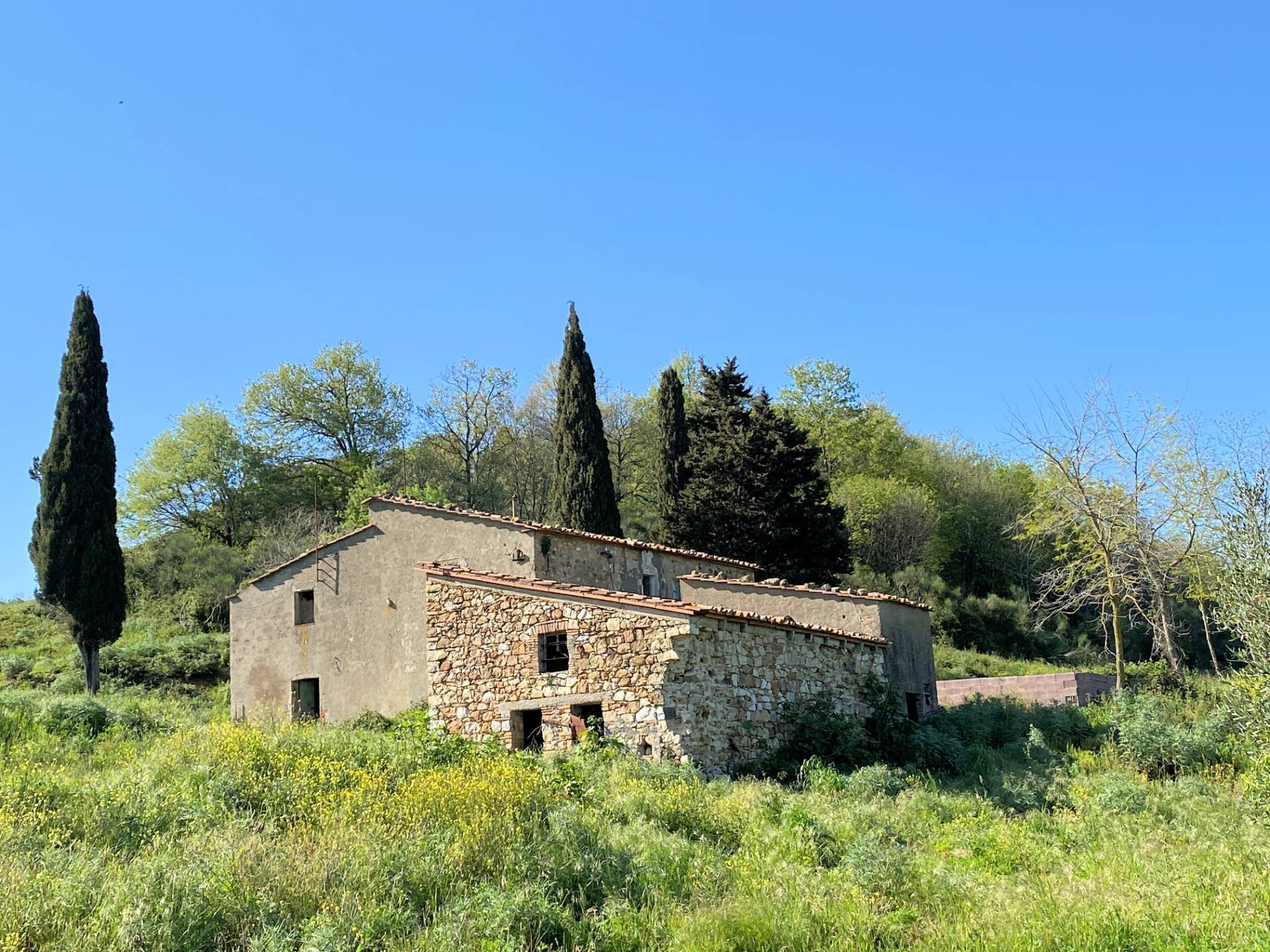 Colonica in pietra da ristrutturare con vista panoramica mozzafiato in vendita a Monteverdi Marittim