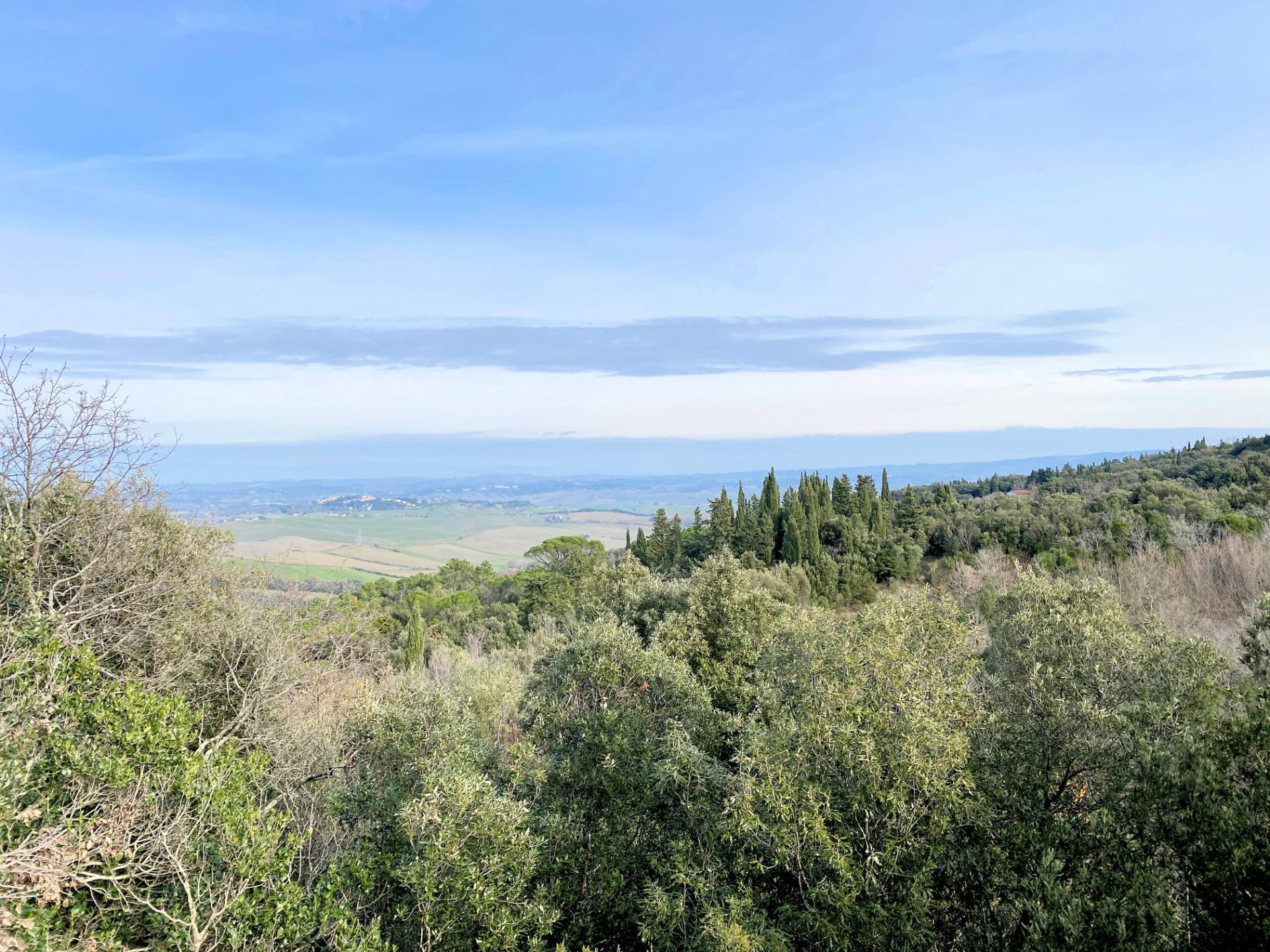 Colonica da ristrutturare con ampio terreno in posizione panoramica in vendita a Lajatico