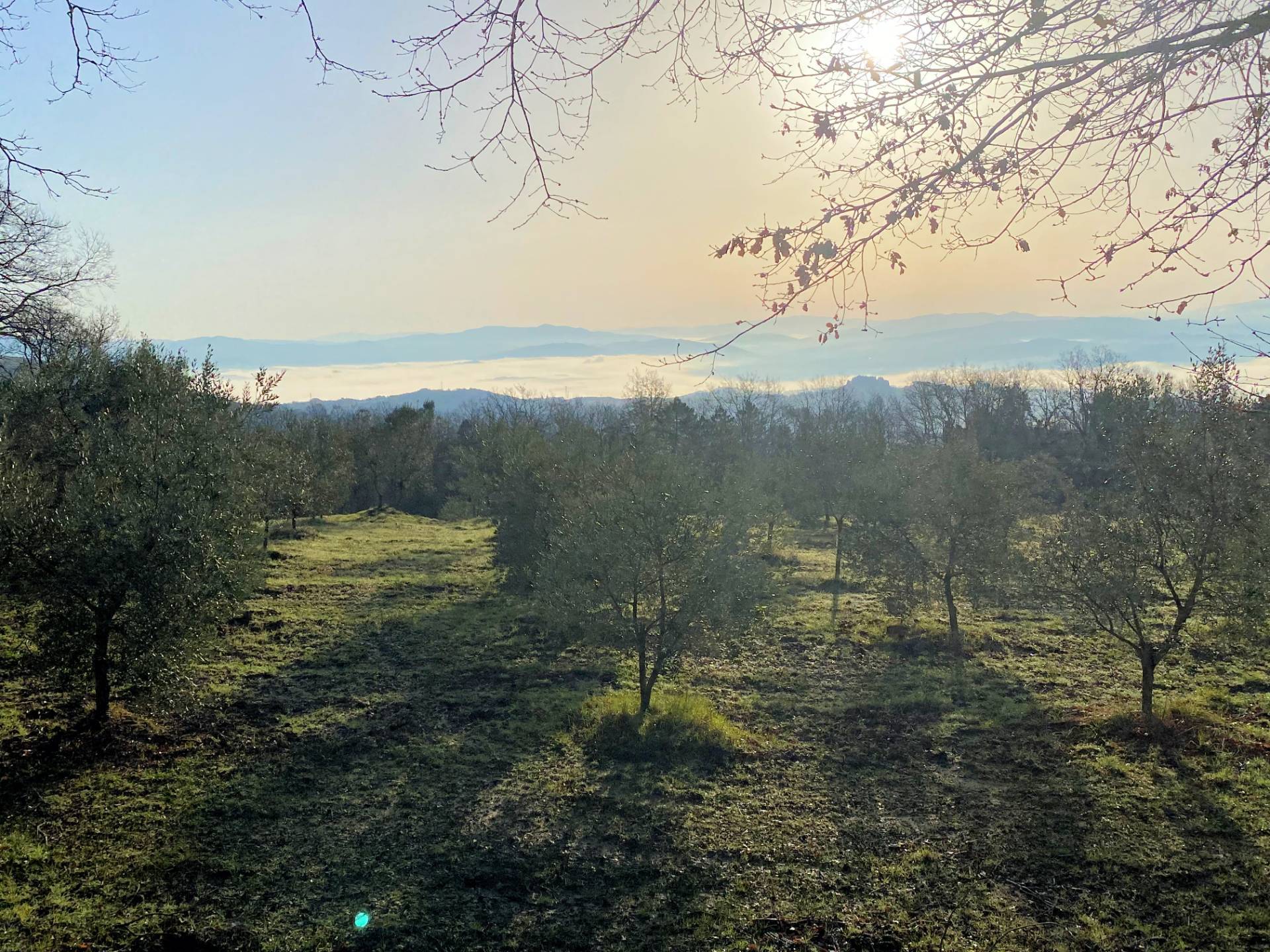 Colonica da ristrutturare con ampio terreno in posizione panoramica in vendita a Lajatico