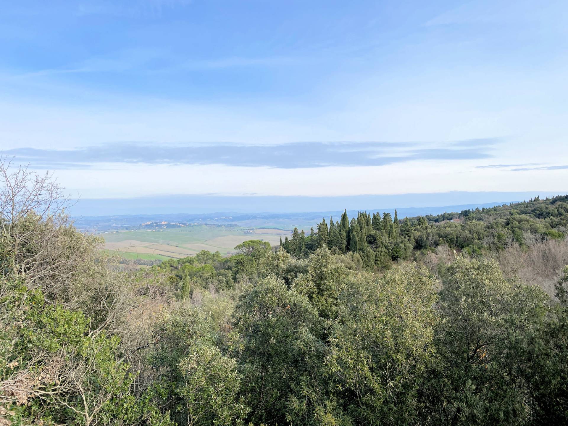Colonica da ristrutturare con ampio terreno in posizione panoramica in vendita a Lajatico