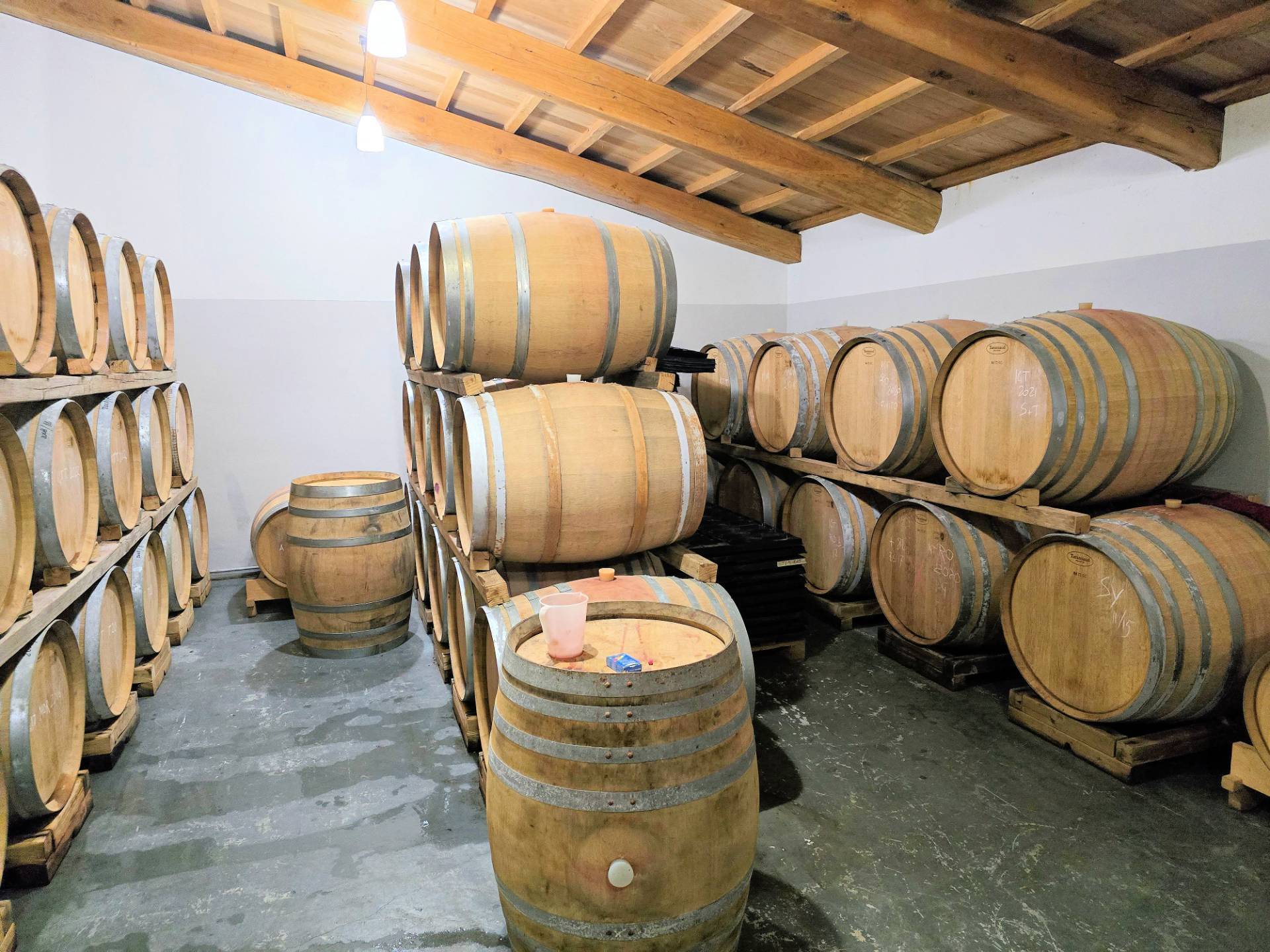 Azienda vitivinicola con produzione di vini di alta qualita' in posizione collinare con vista panora