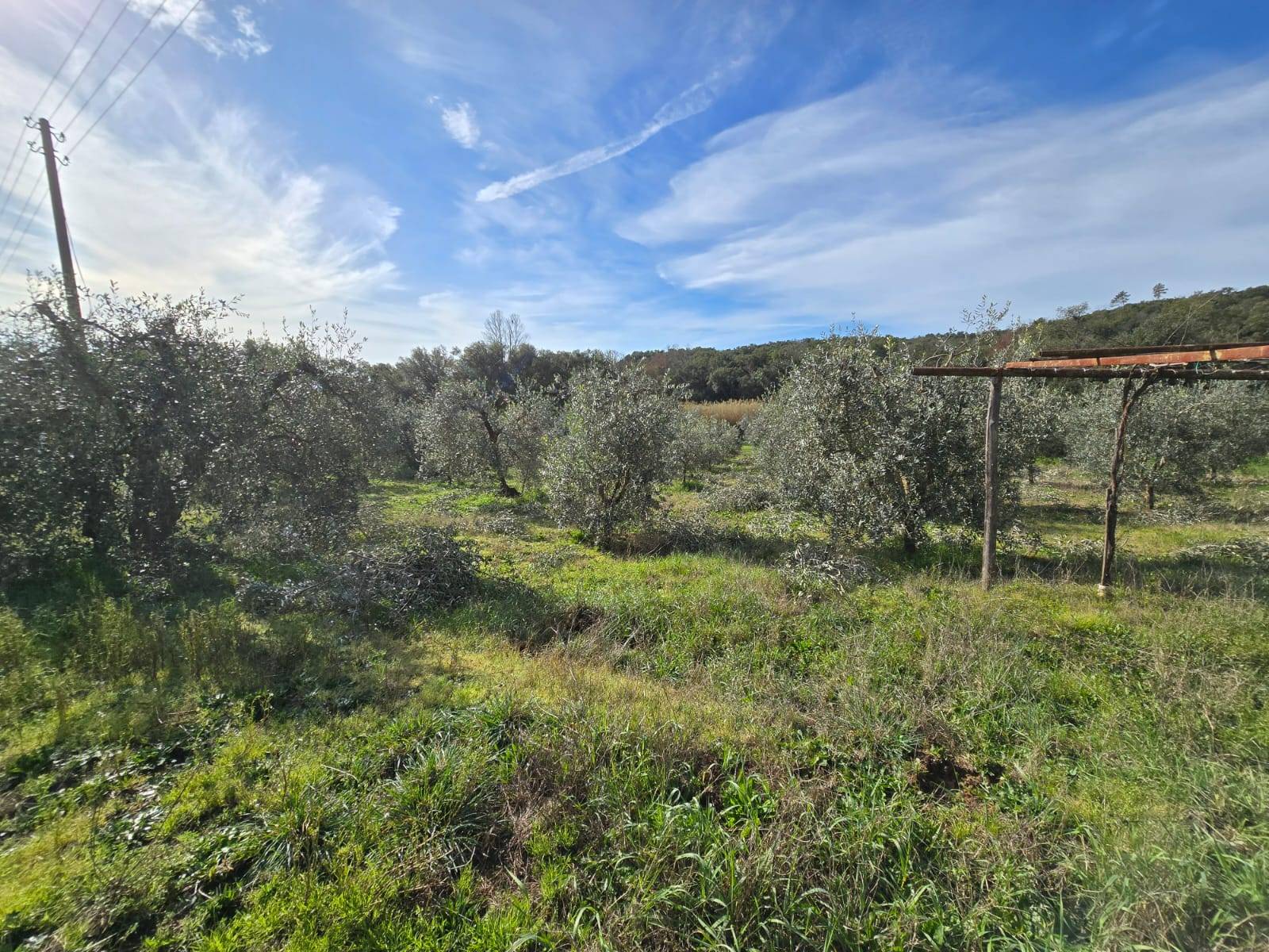 Annesso agricolo in posizione collinare in vendita a Roccastrada