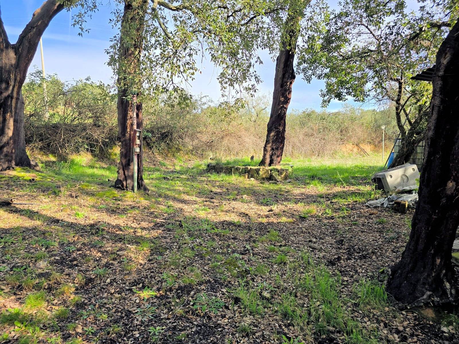 Annesso agricolo in posizione collinare in vendita a Roccastrada