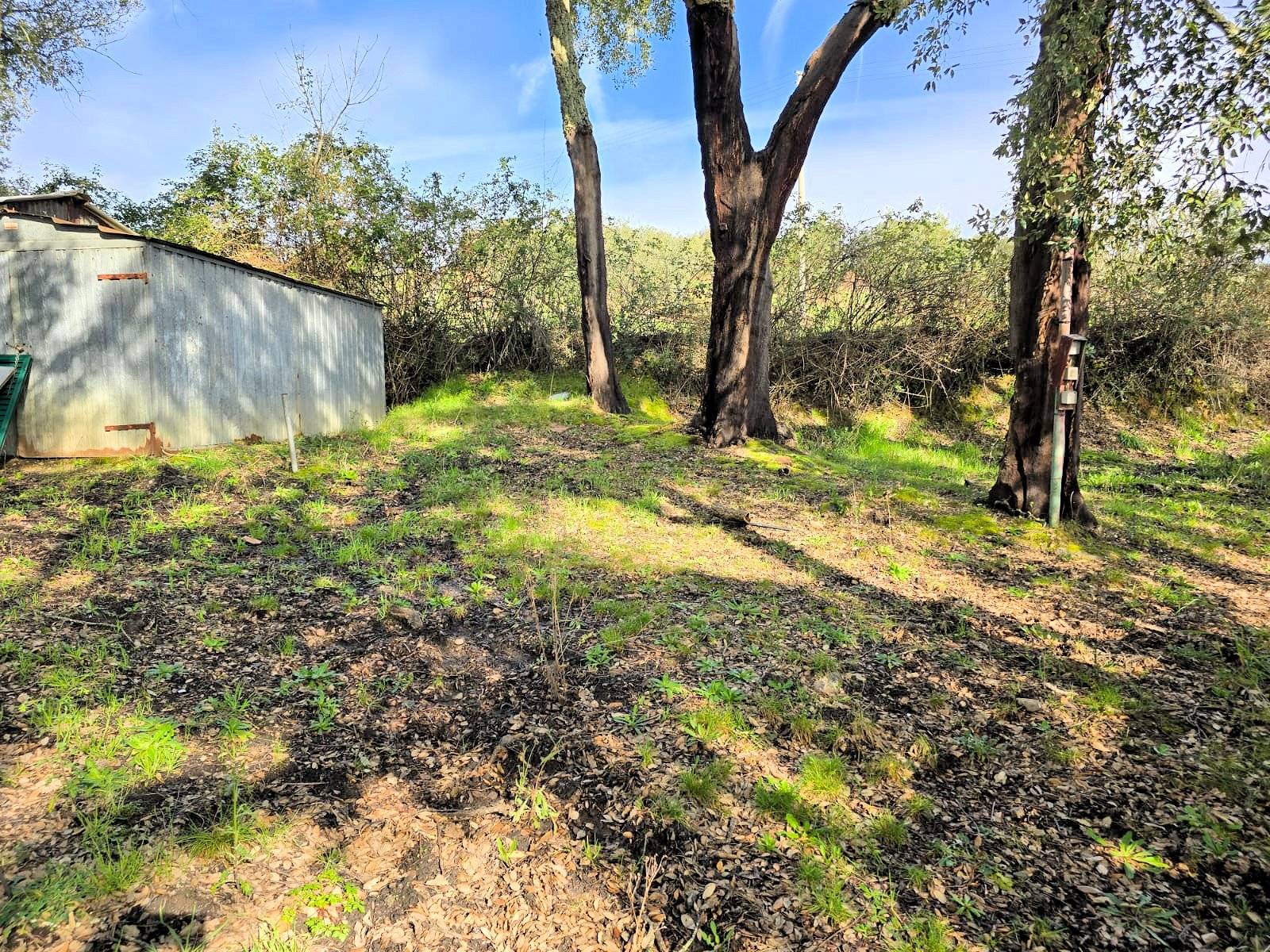 Annesso agricolo in posizione collinare in vendita a Roccastrada