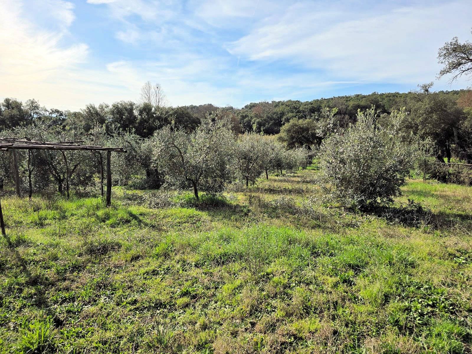 Annesso agricolo in posizione collinare in vendita a Roccastrada