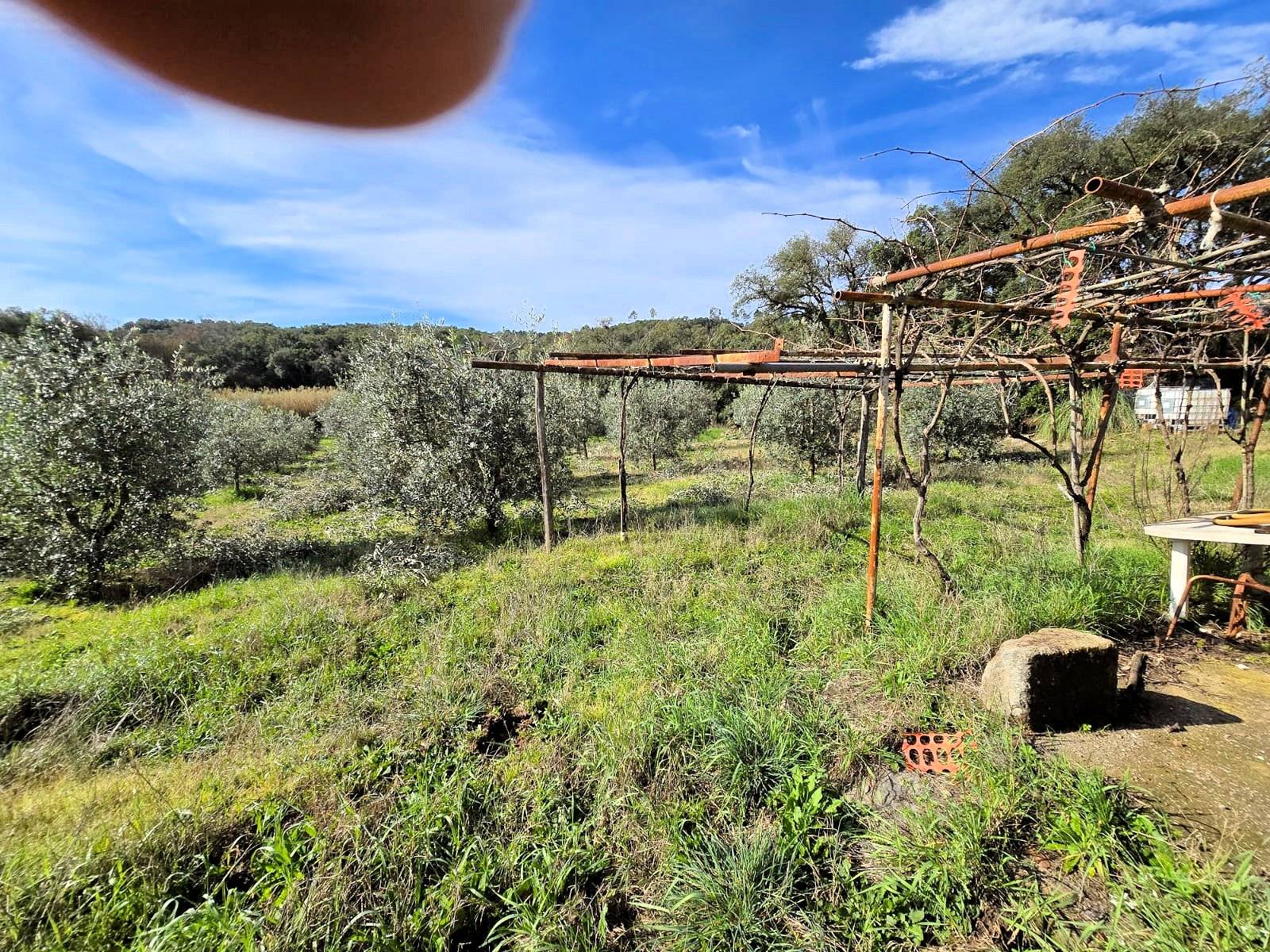 Annesso agricolo in posizione collinare in vendita a Roccastrada