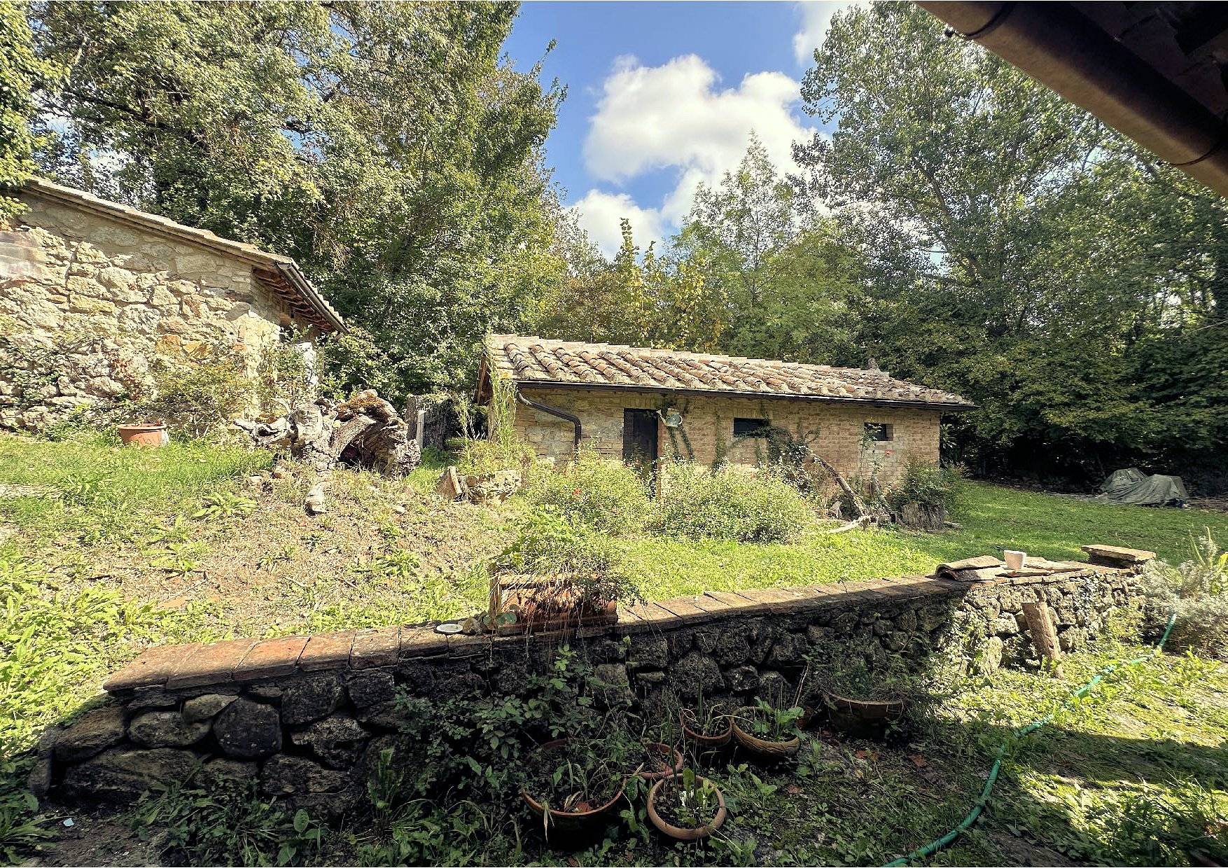 Complesso immobiliare di ampia superficie con ex mulino del 1200 in vendita a Chiusdino, Frosini