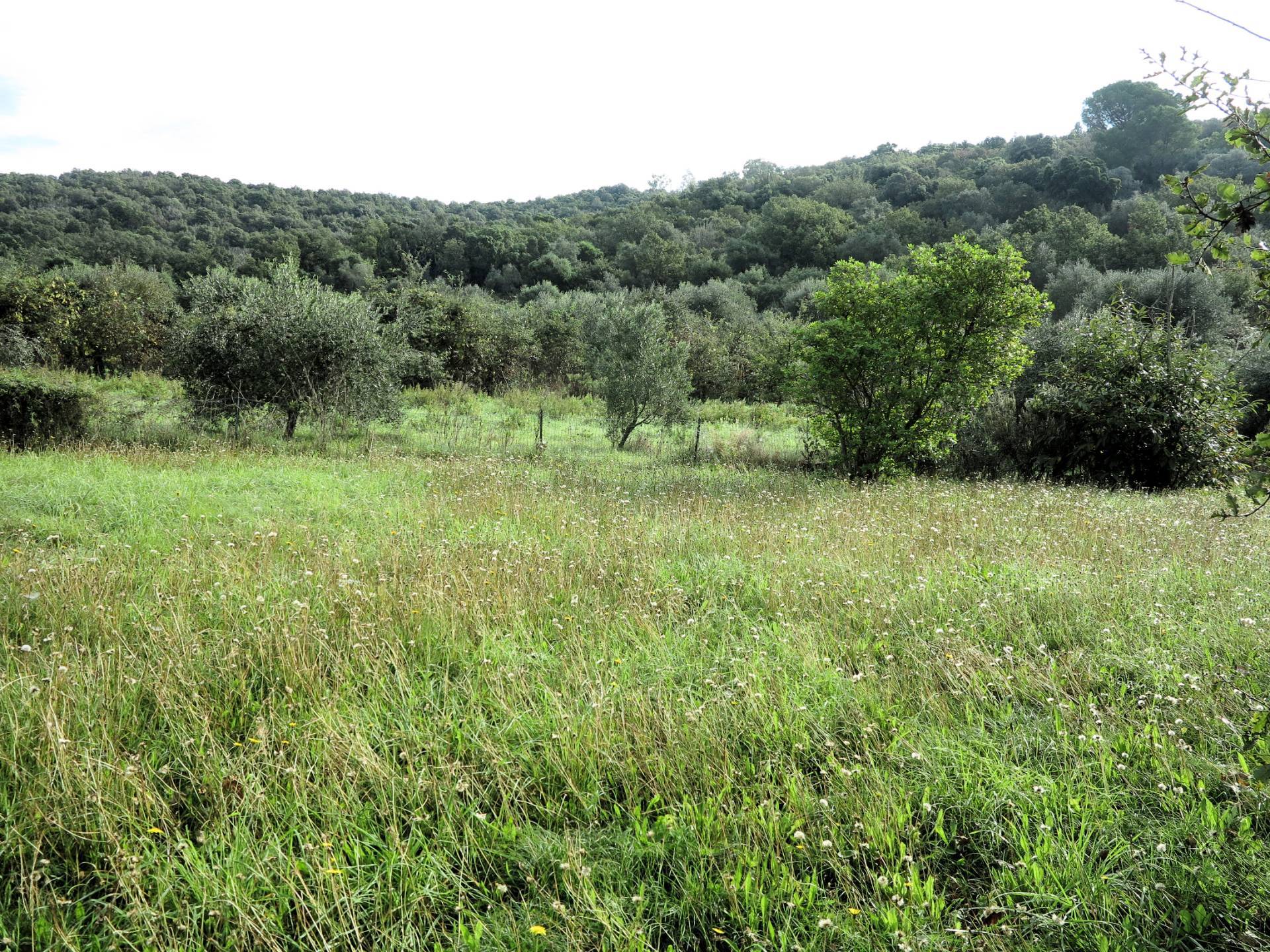 Casa singola composta da due appartamenti indipendenti con ampio terreno in vendita a Scarlino, Punt