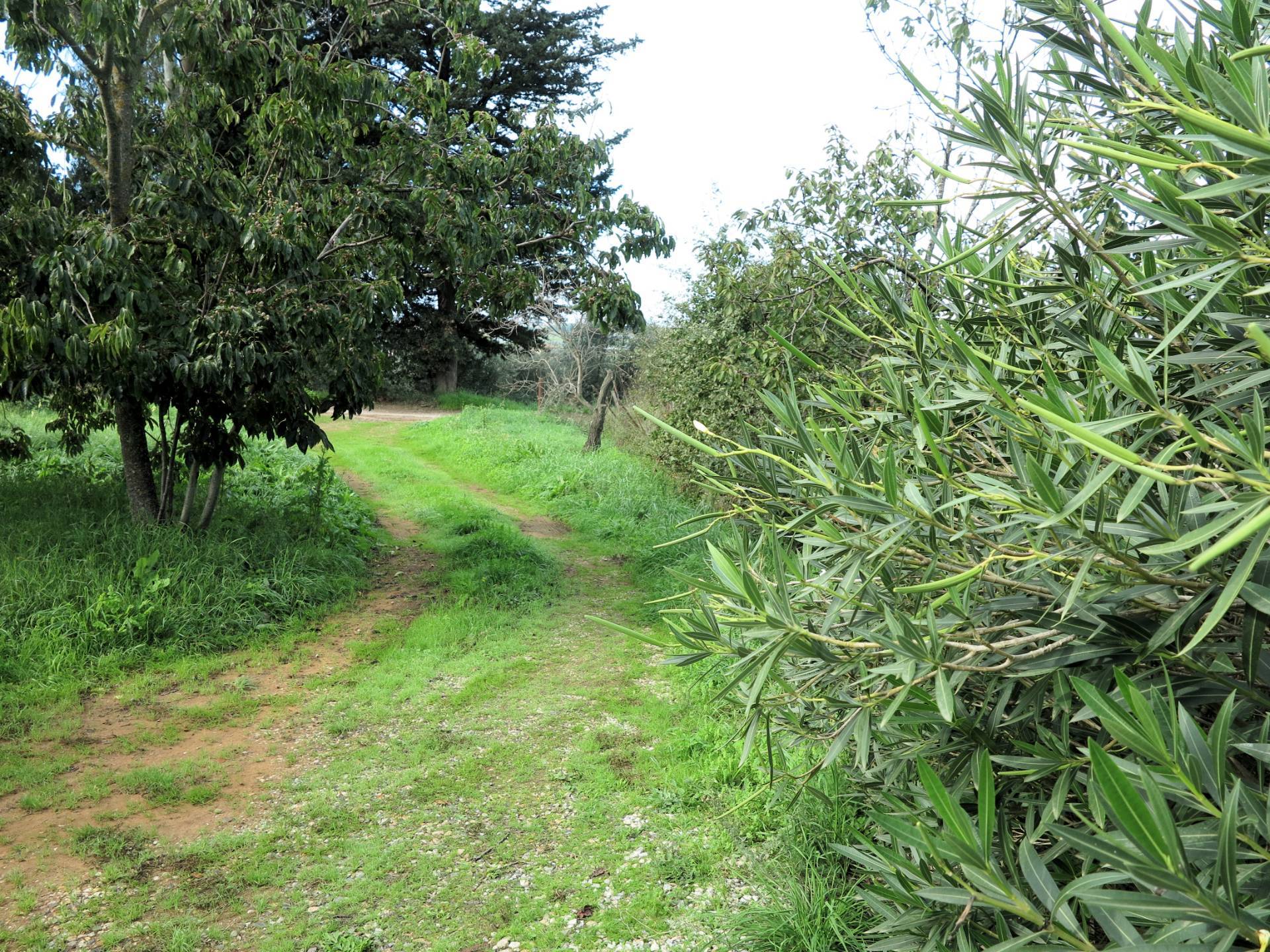 Casa singola composta da due appartamenti indipendenti con ampio terreno in vendita a Scarlino, Punt