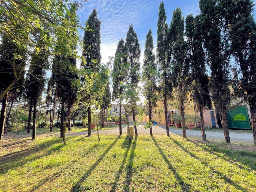 Agriturismo di ampia superficie con terreno piscina vicino al mare in vendita a Rosignano Marittimo,