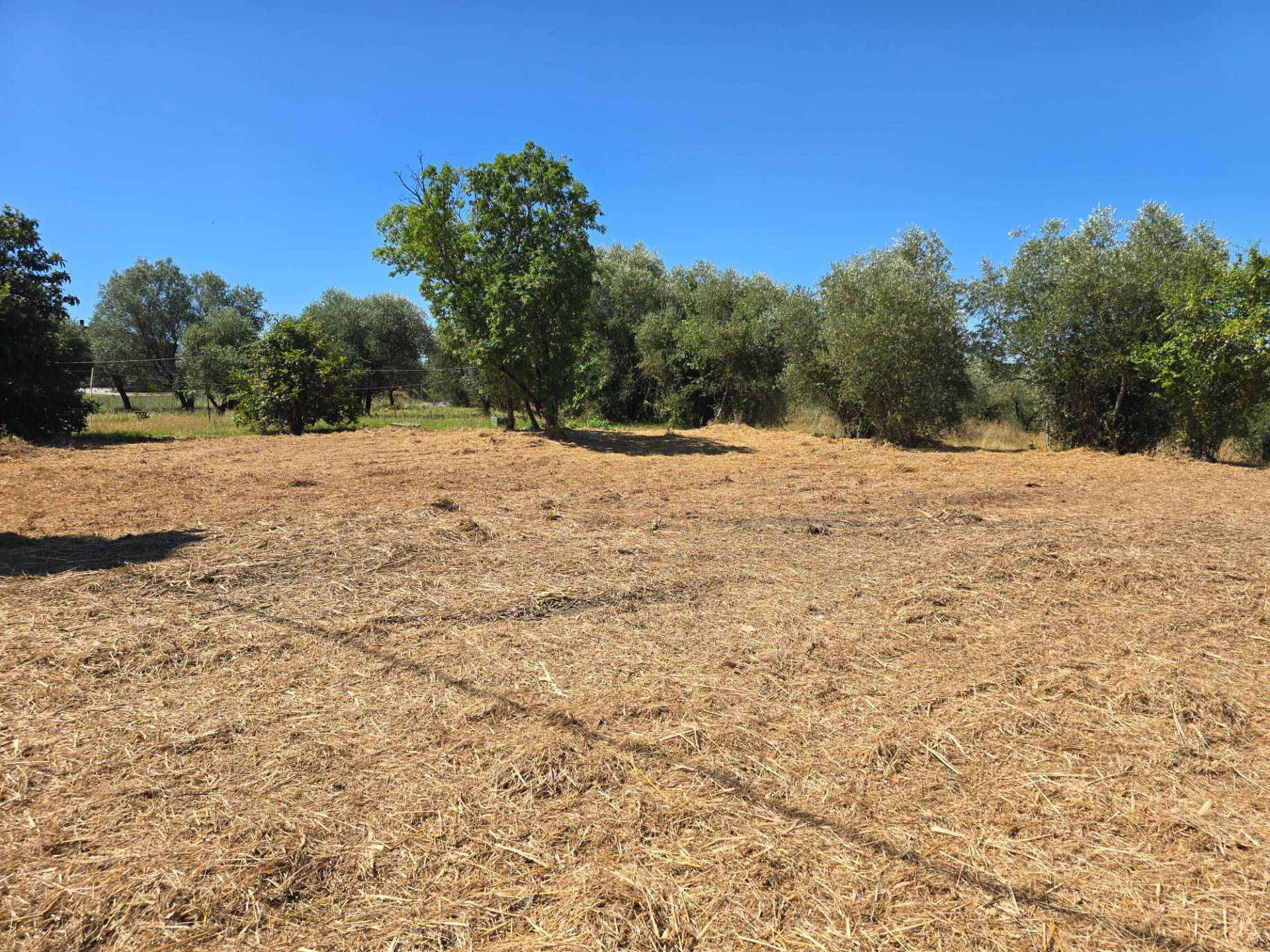 Porzione terratetto di villa bifamiliare da realizzare in vendita a Fucecchio, Massarella