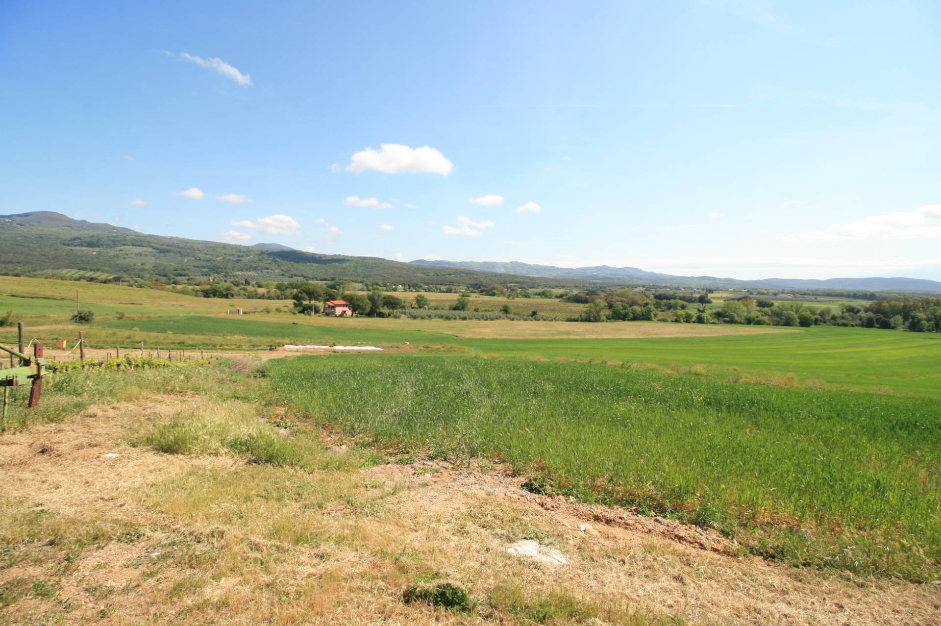 Podere panoramico in Maremma in vendita a Roccastrada, Montemassi