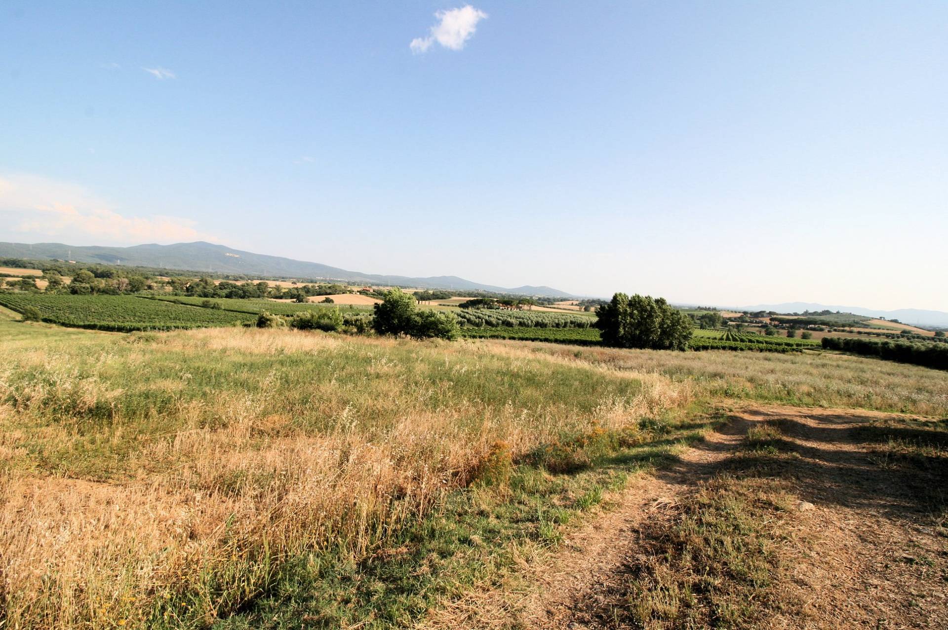 Podere panoramico in Maremma in vendita a Roccastrada, Montemassi