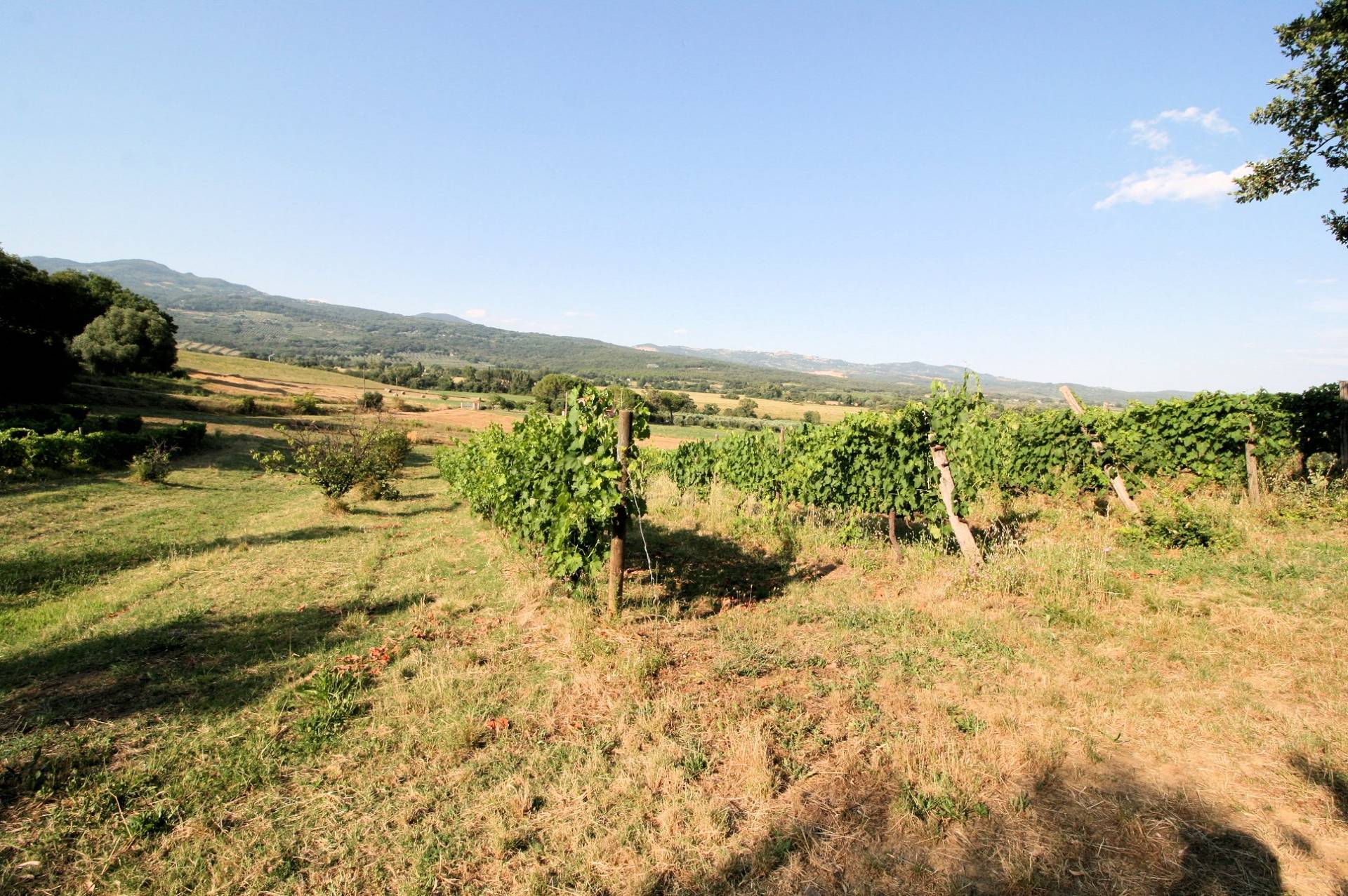 Podere panoramico in Maremma in vendita a Roccastrada, Montemassi