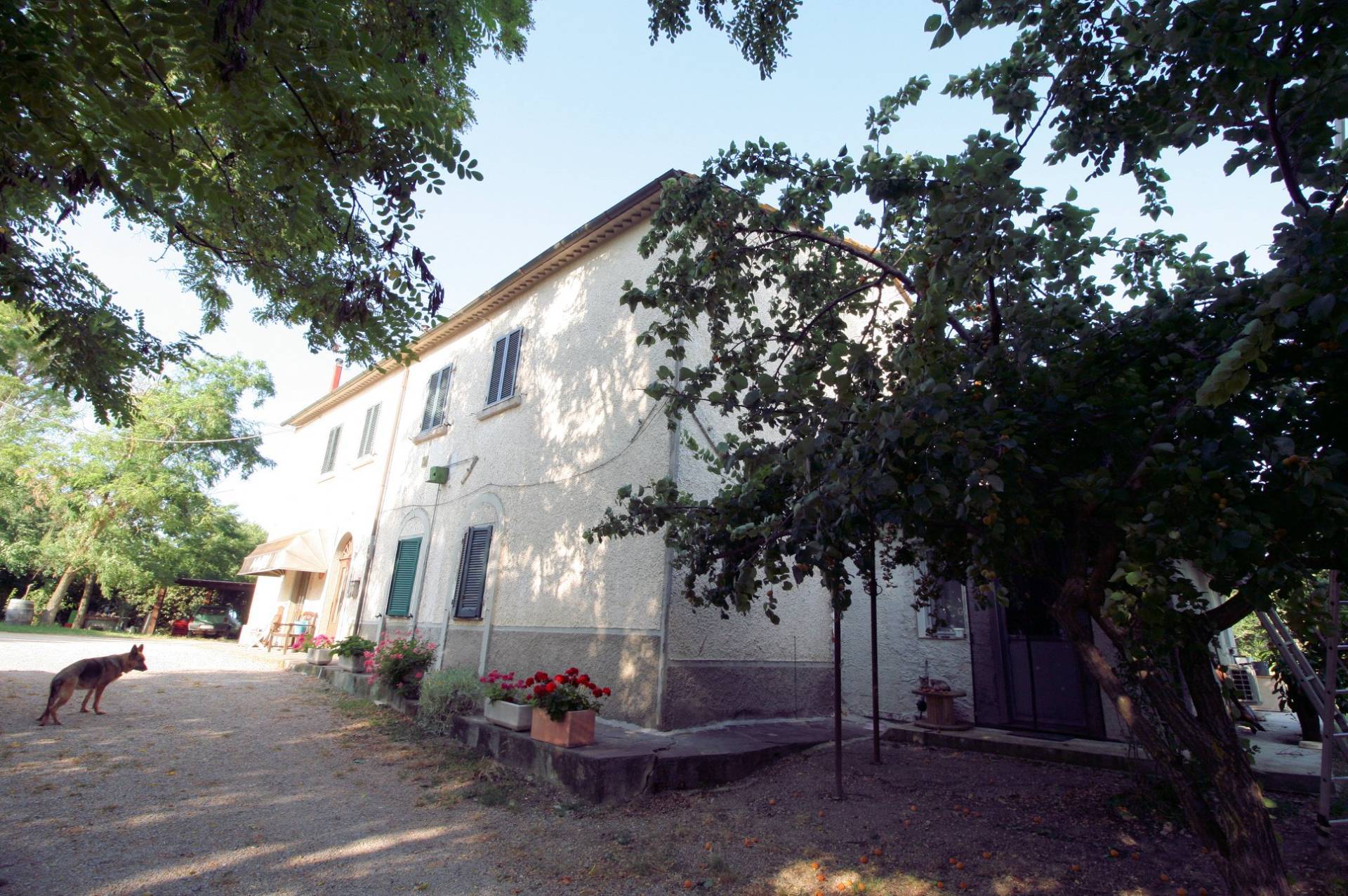 Podere panoramico in Maremma in vendita a Roccastrada, Montemassi