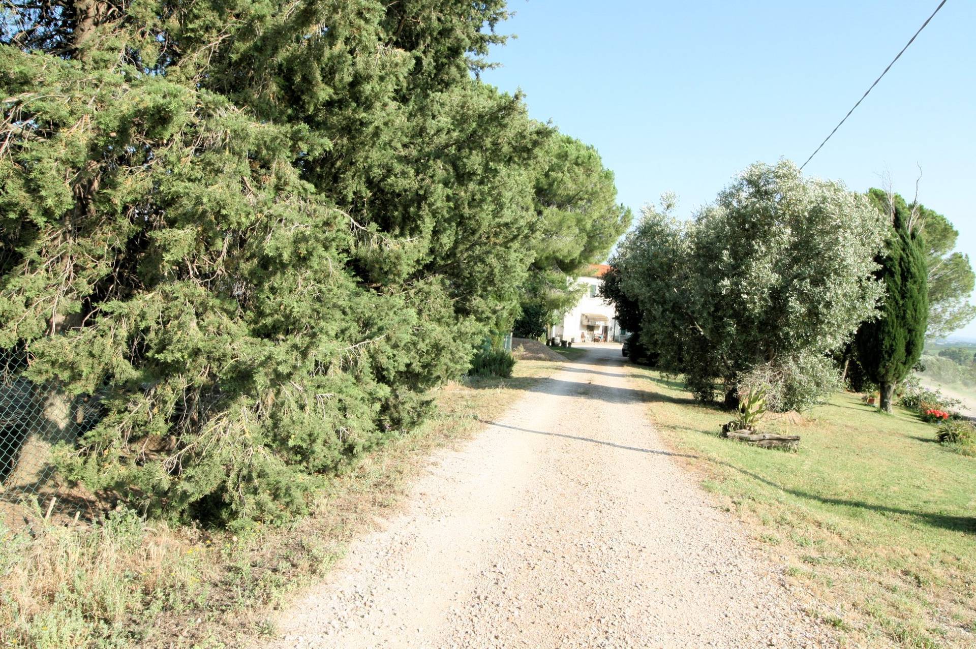 Podere panoramico in Maremma in vendita a Roccastrada, Montemassi