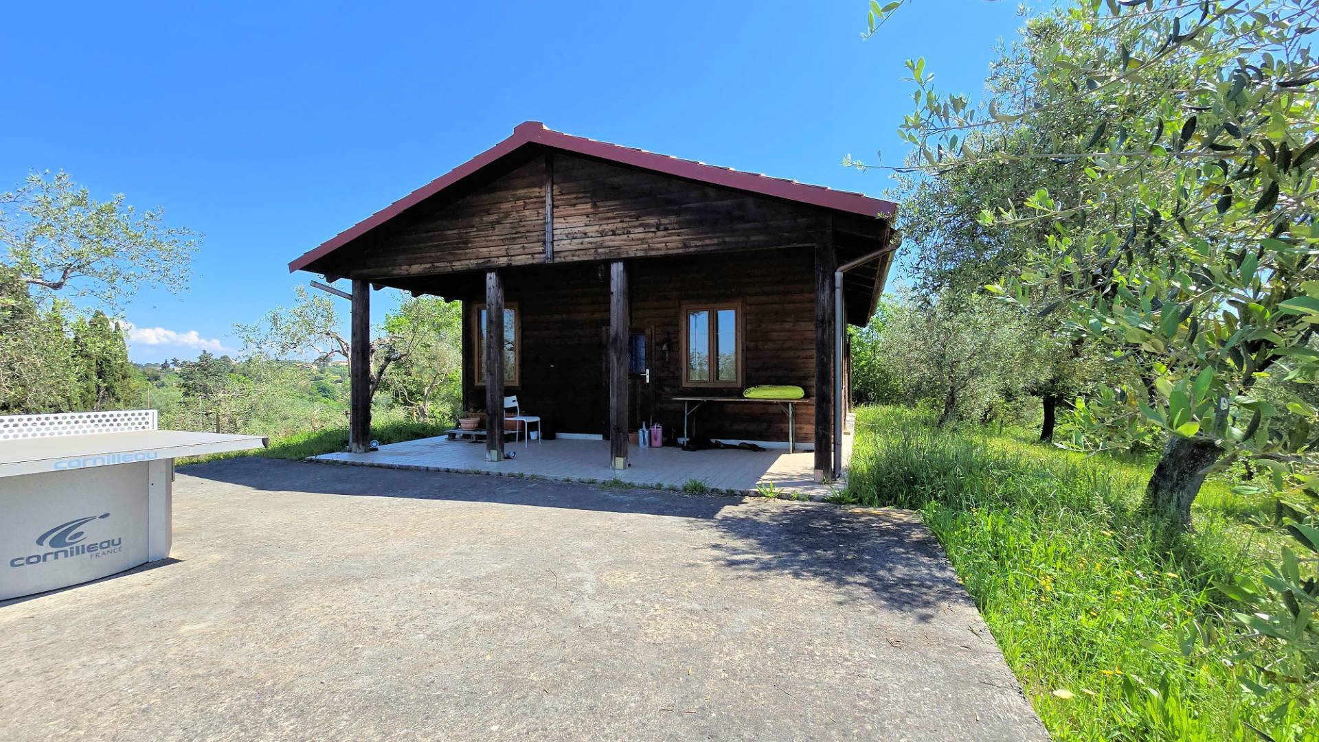Piccola azienda agricola con casale di campagna in vendita a Palaia