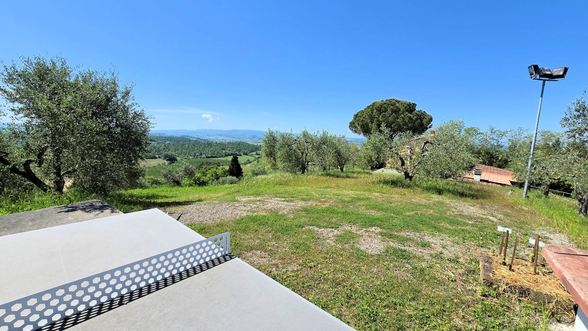 Piccola azienda agricola con casale di campagna in vendita a Palaia