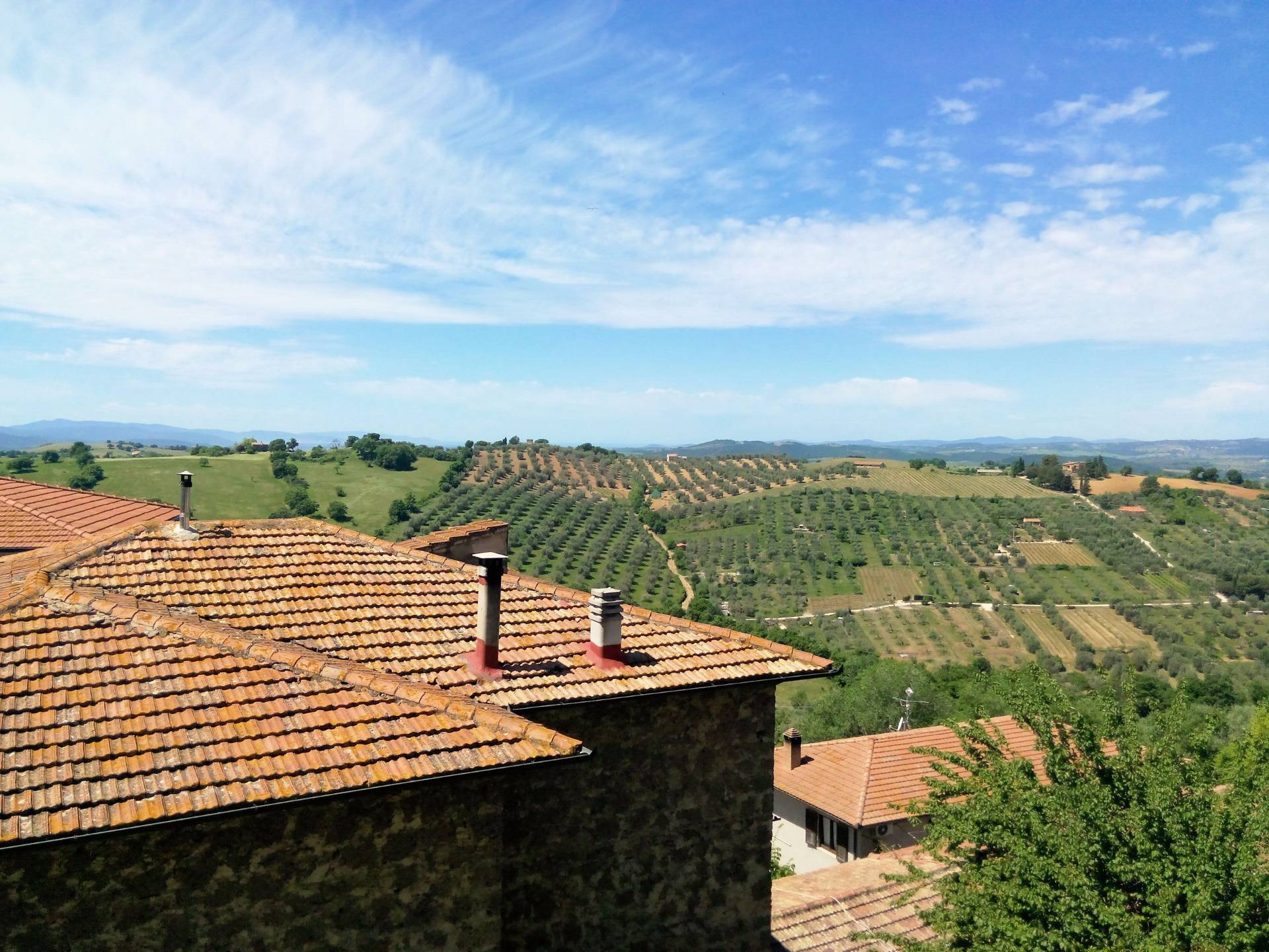 Porzione di terratetto con giardino e vista panoramica in vendita a Manciano, Montemerano