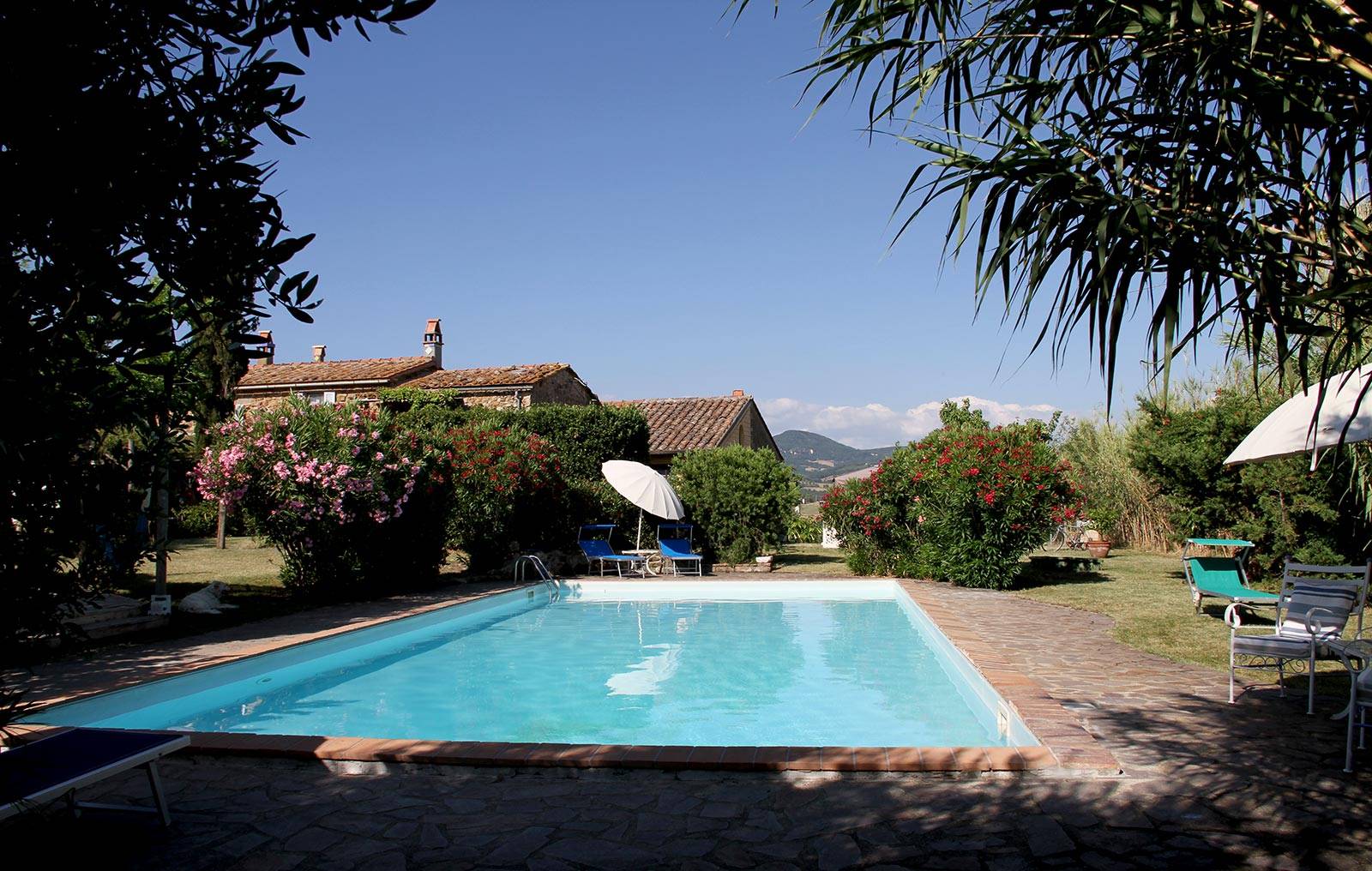 Rustico con parco e piscina in vendita a Manciano