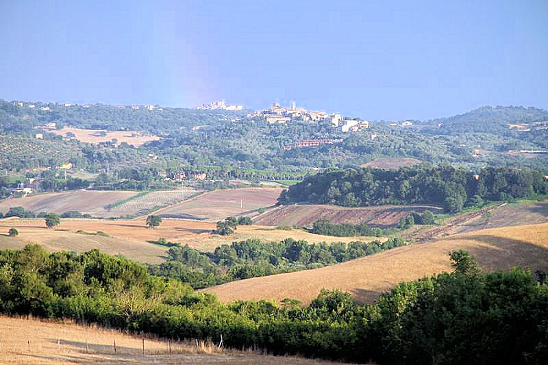Rustico con parco e piscina in vendita a Manciano