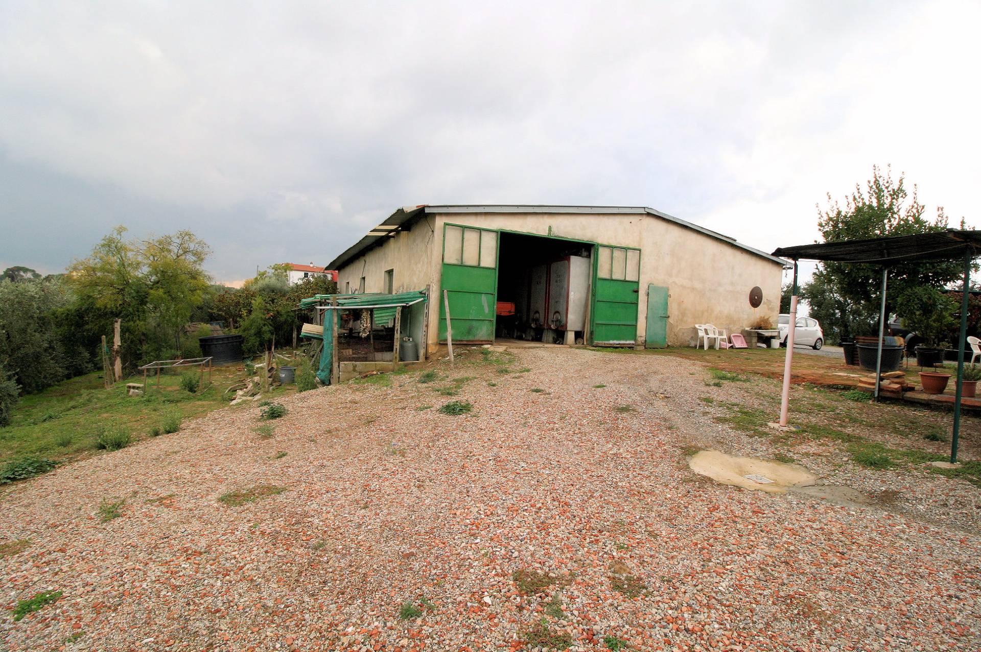 Azienda agricola produzione vino ed olio in vendita a Cerreto Guidi