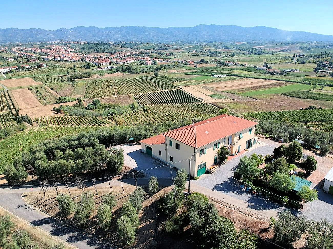 Azienda agricola produzione vino ed olio in vendita a Cerreto Guidi