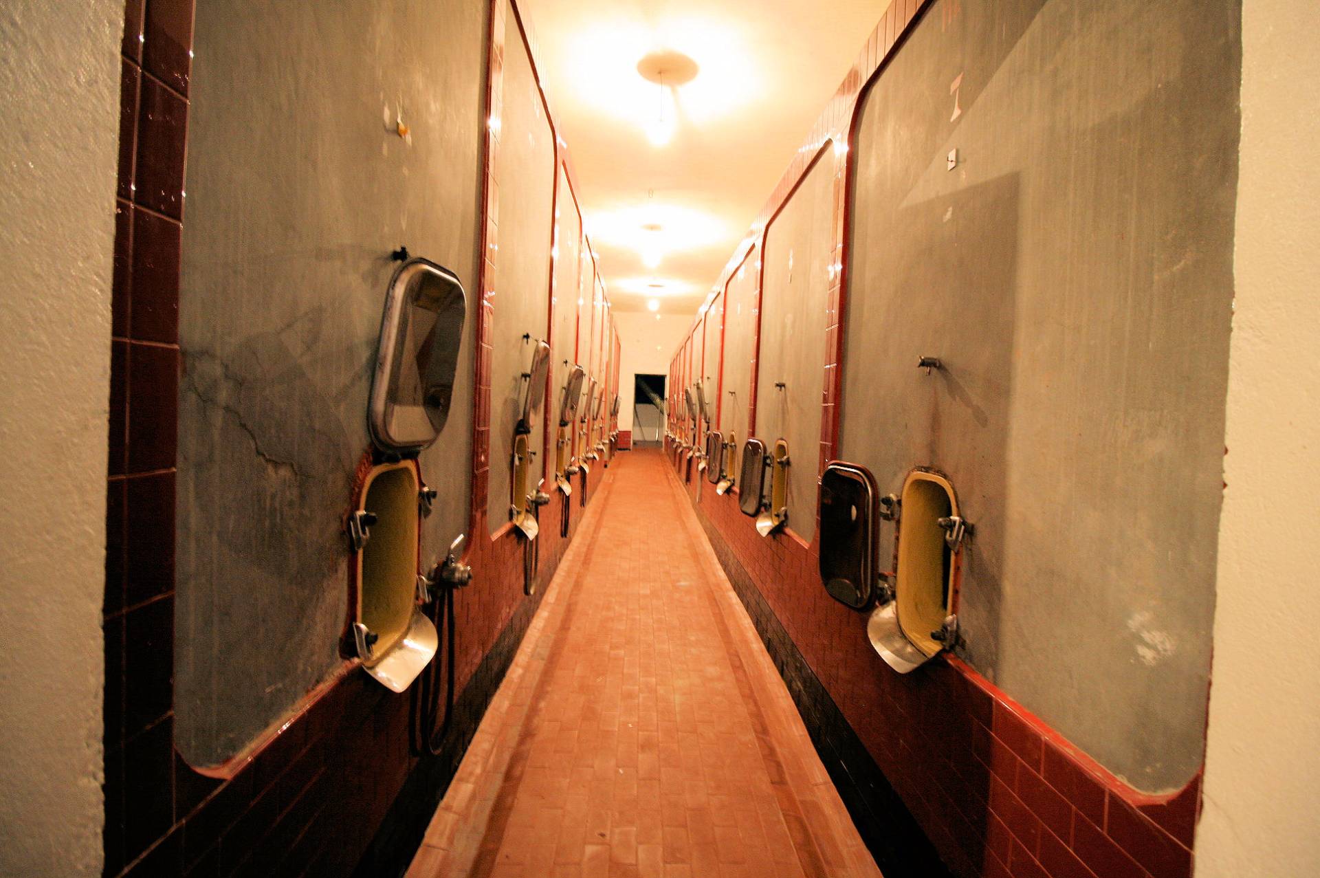 Azienda agricola produzione vino ed olio in vendita a Cerreto Guidi