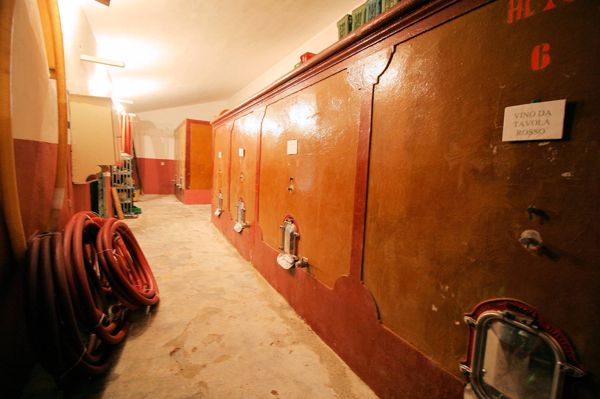 Azienda agricola produzione vino ed olio in vendita a Cerreto Guidi