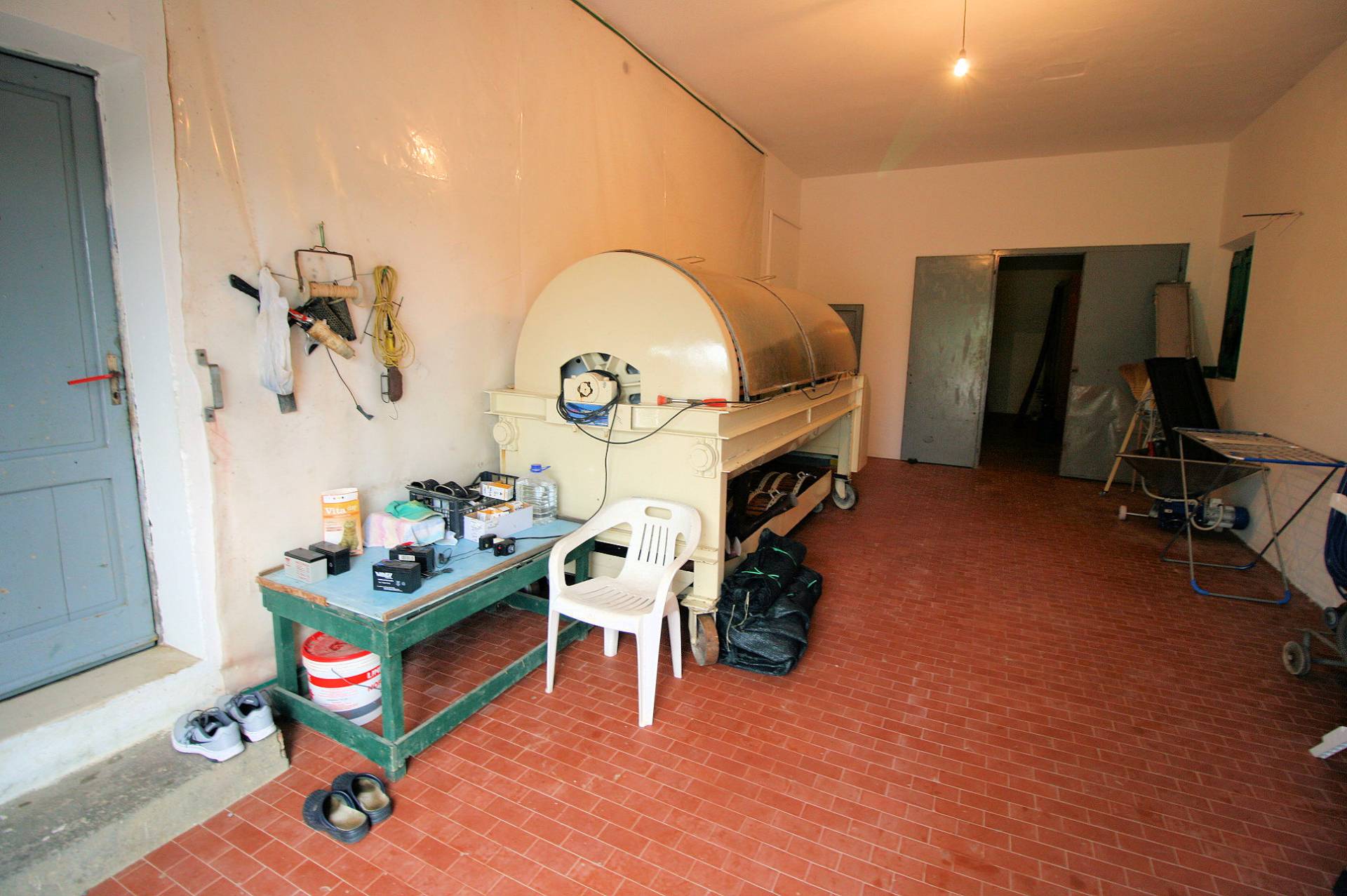 Azienda agricola produzione vino ed olio in vendita a Cerreto Guidi