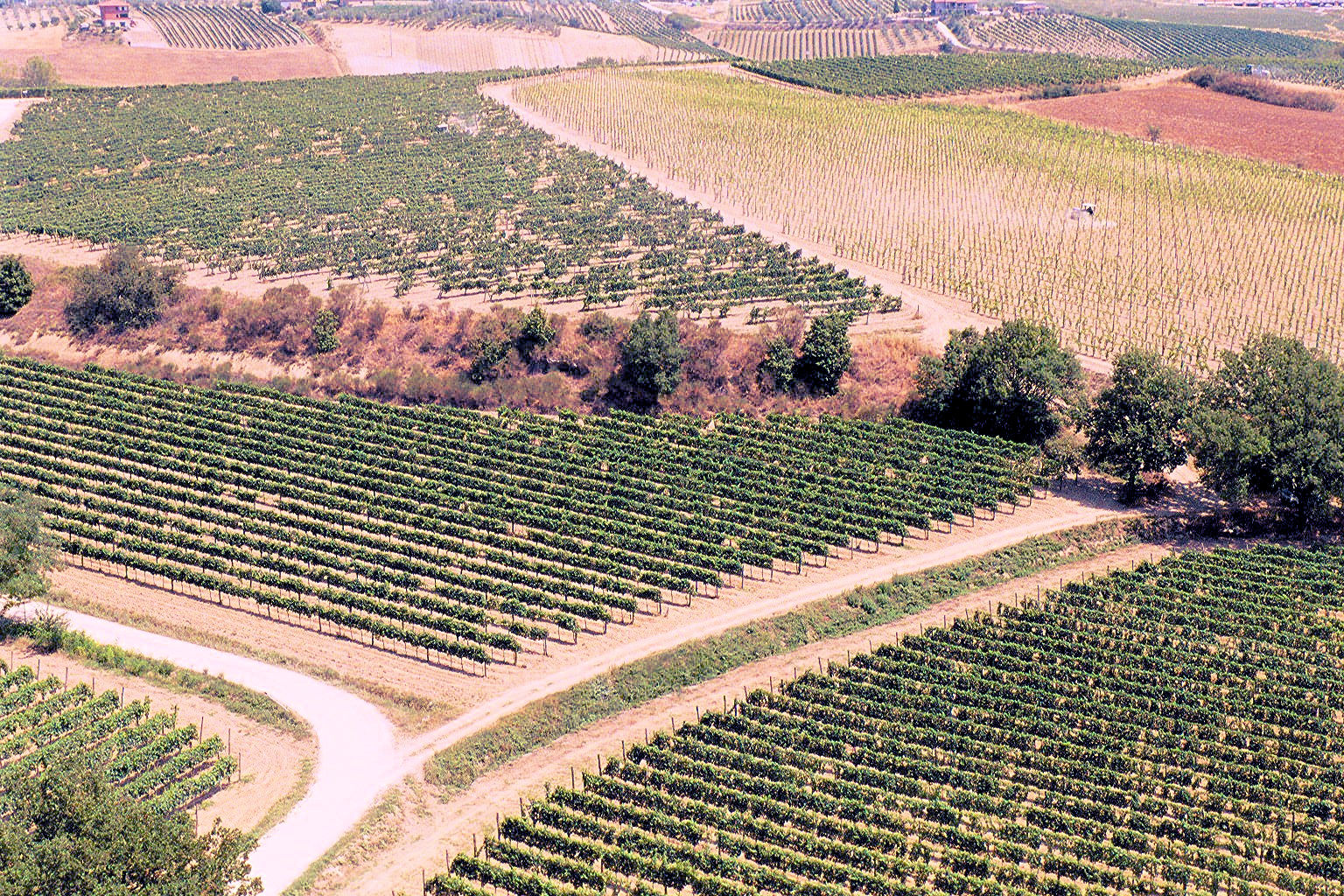 Azienda vinicola di alto livello in vendita a Montepulciano
