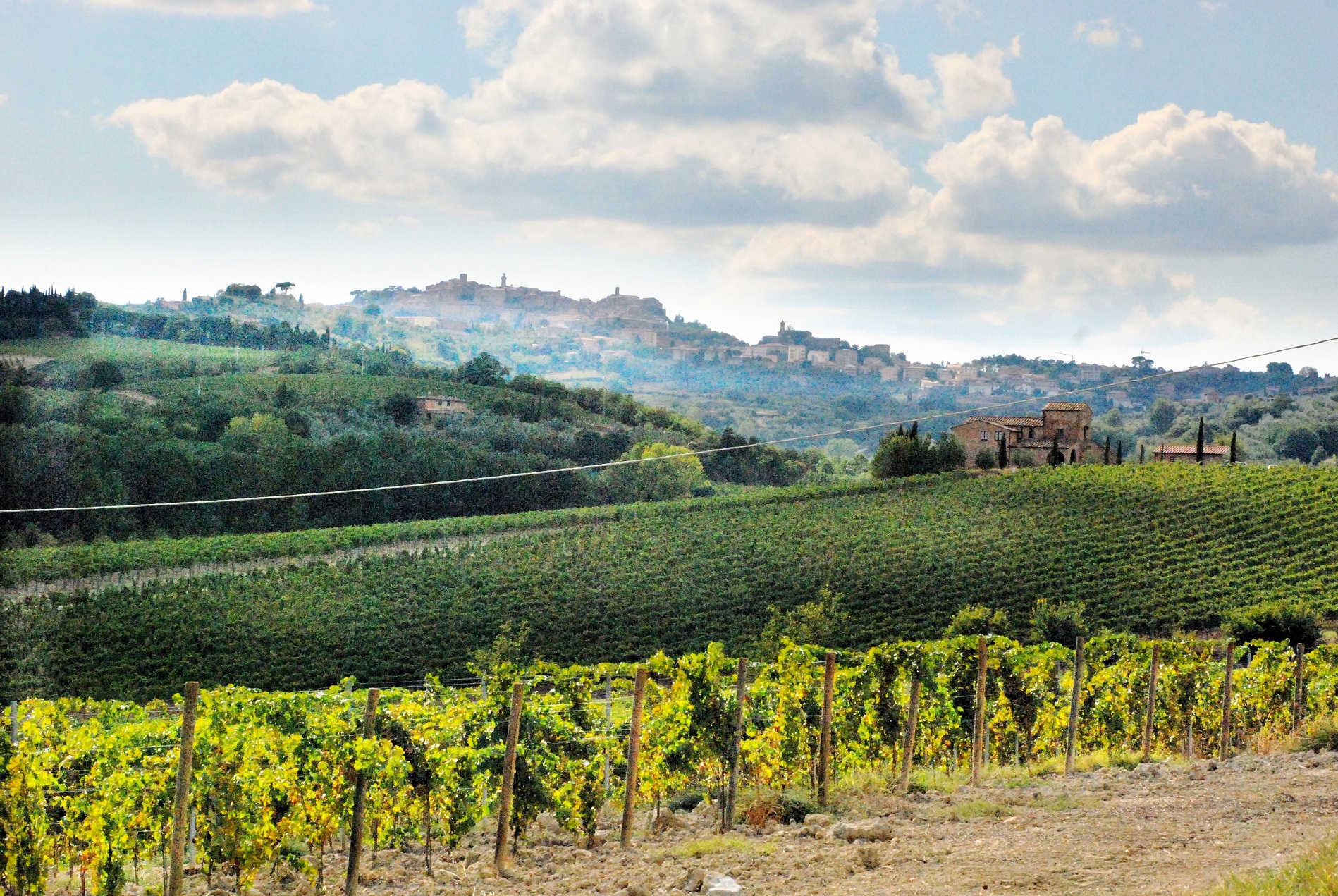 Azienda vinicola di alto livello in vendita a Montepulciano