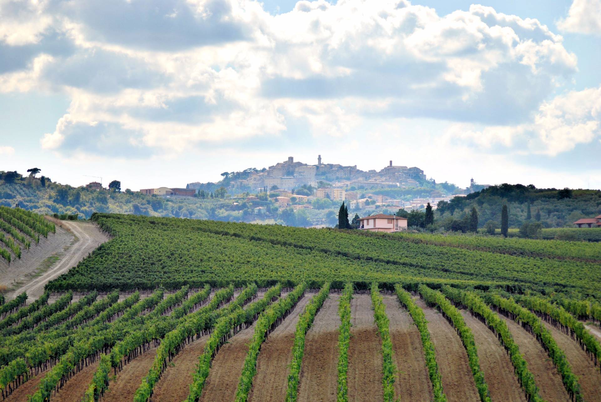 Azienda vinicola di alto livello in vendita a Montepulciano
