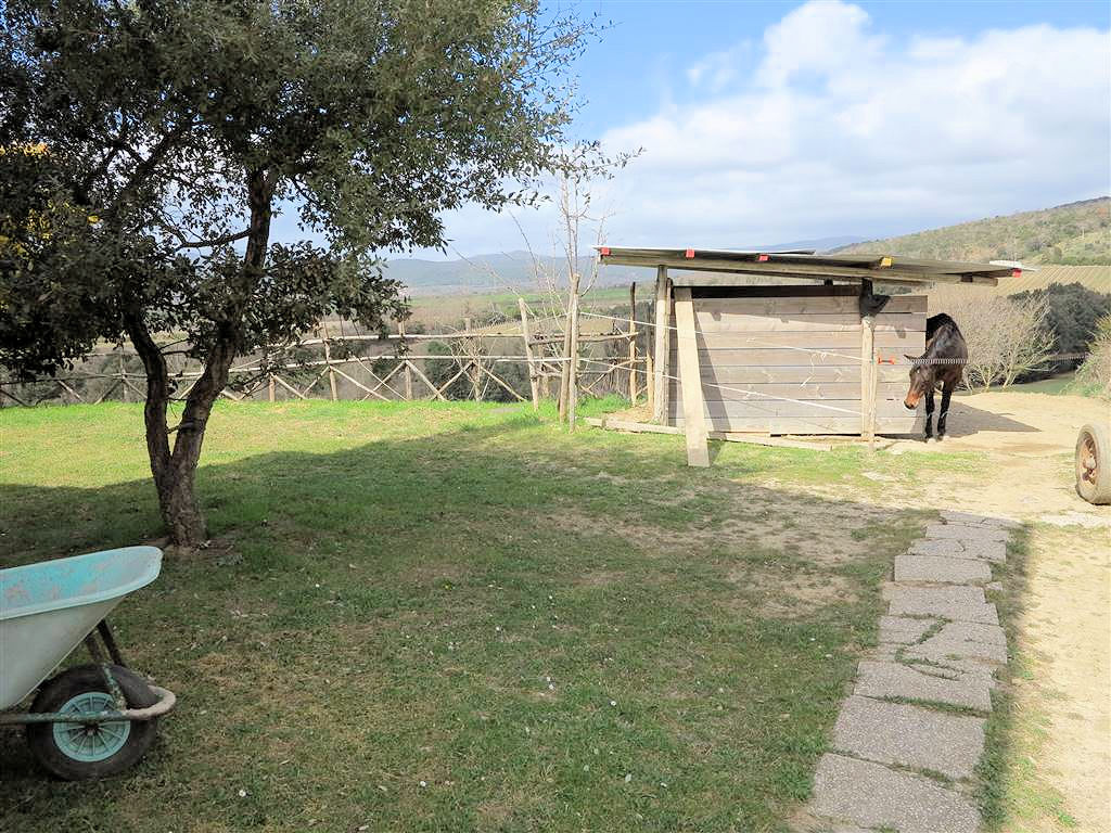 Rustico ristrutturato in posizione collinare in vendita a Gavorrano