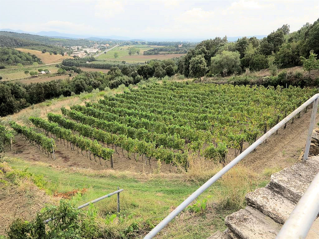 Casale ristrutturato con vista panoramica parco e piscina in vendita a Massa Marittima