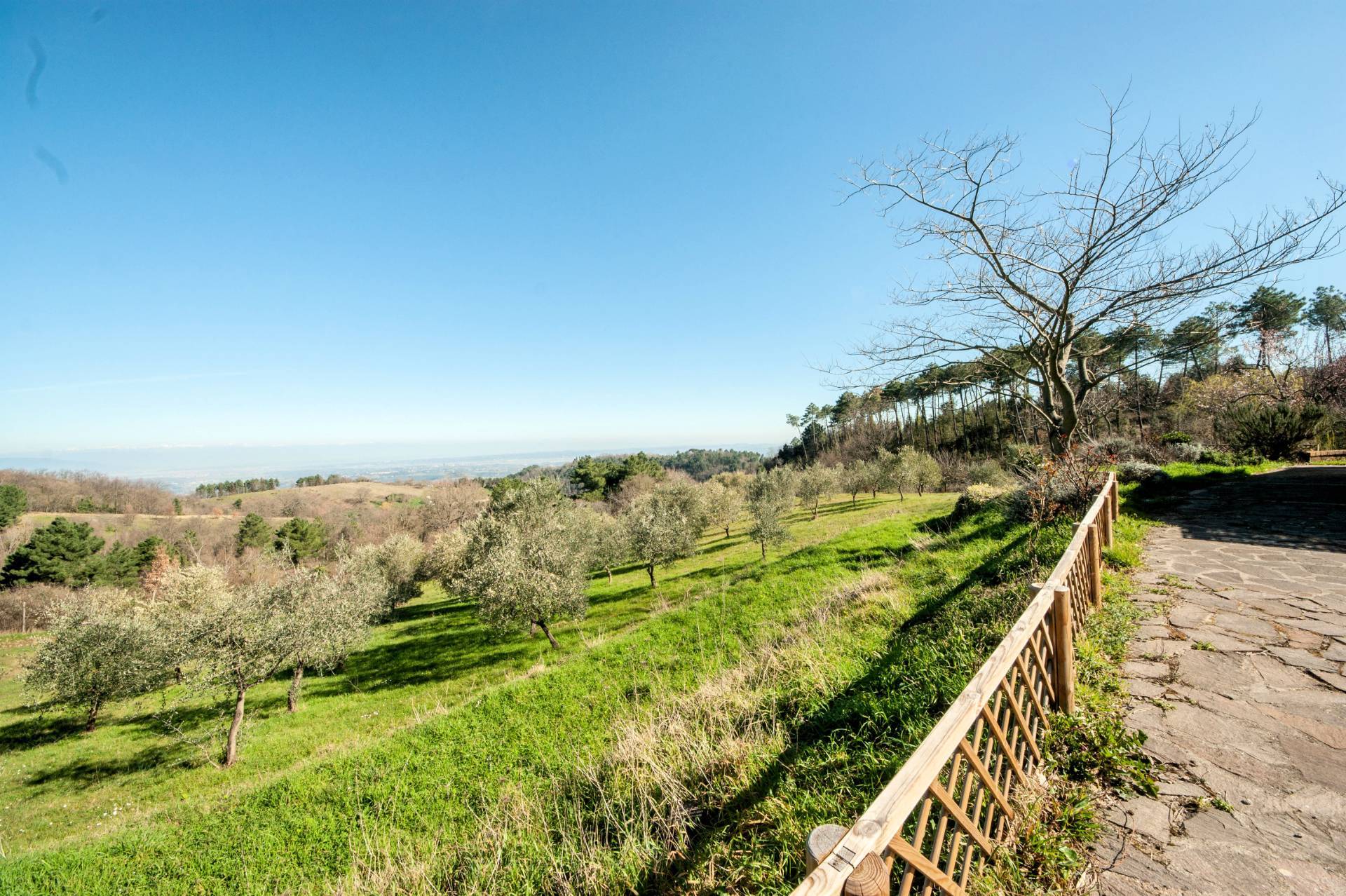 Bel casale ristrutturato in posizione panoramica con ampio terreno in vendita a Chianni, Rivalto