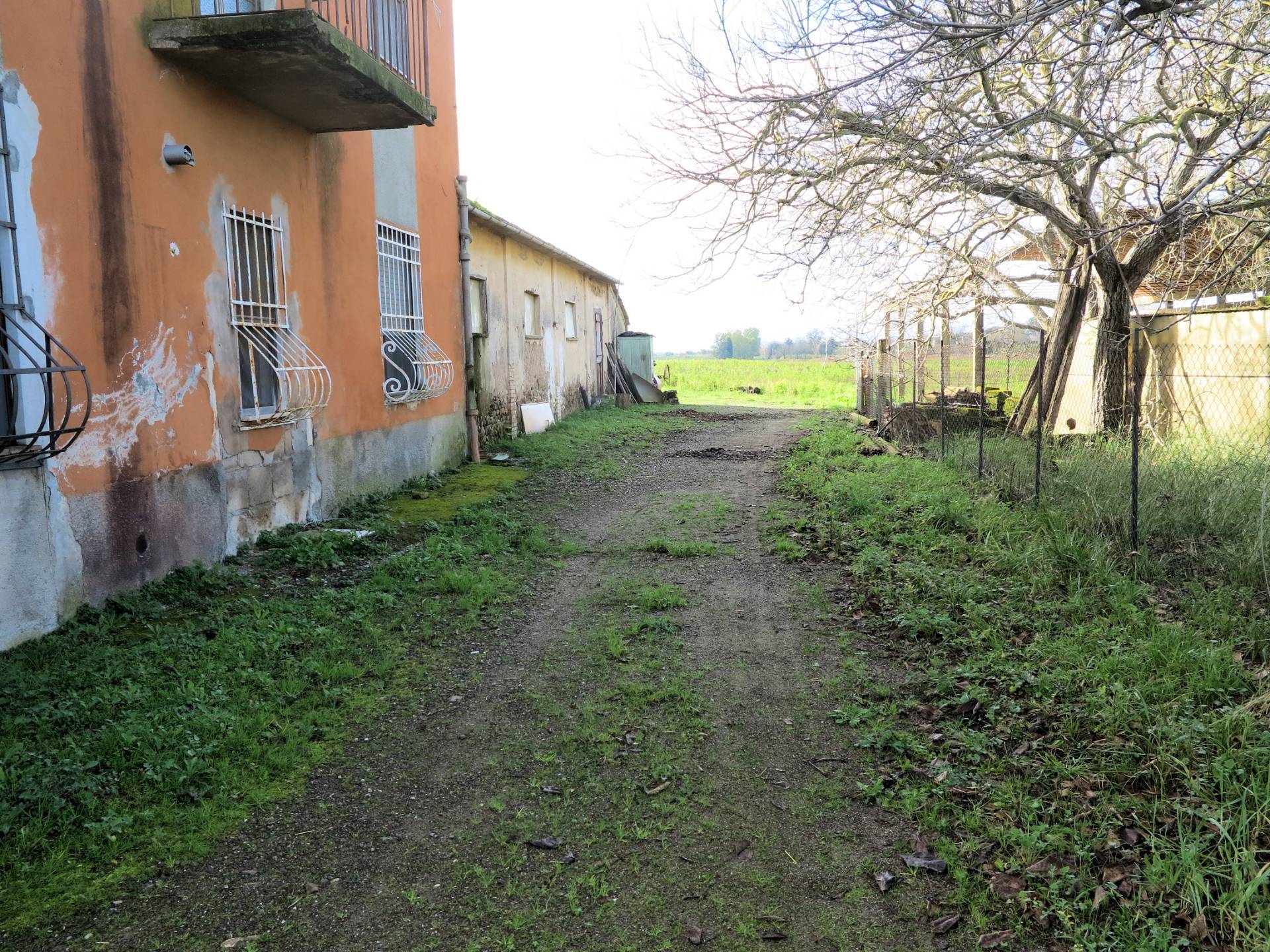 Podere ex Ente Maremma di ampia superficie in vendita a Roccastrada, Montemassi