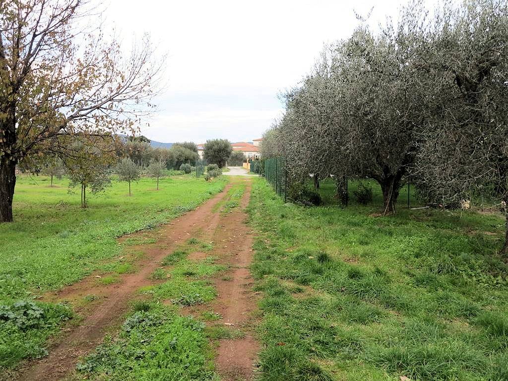 Annesso agricolo da ristrutturare in splendida posizione in vendita a Gavorrano, Bagno di Gavorrano