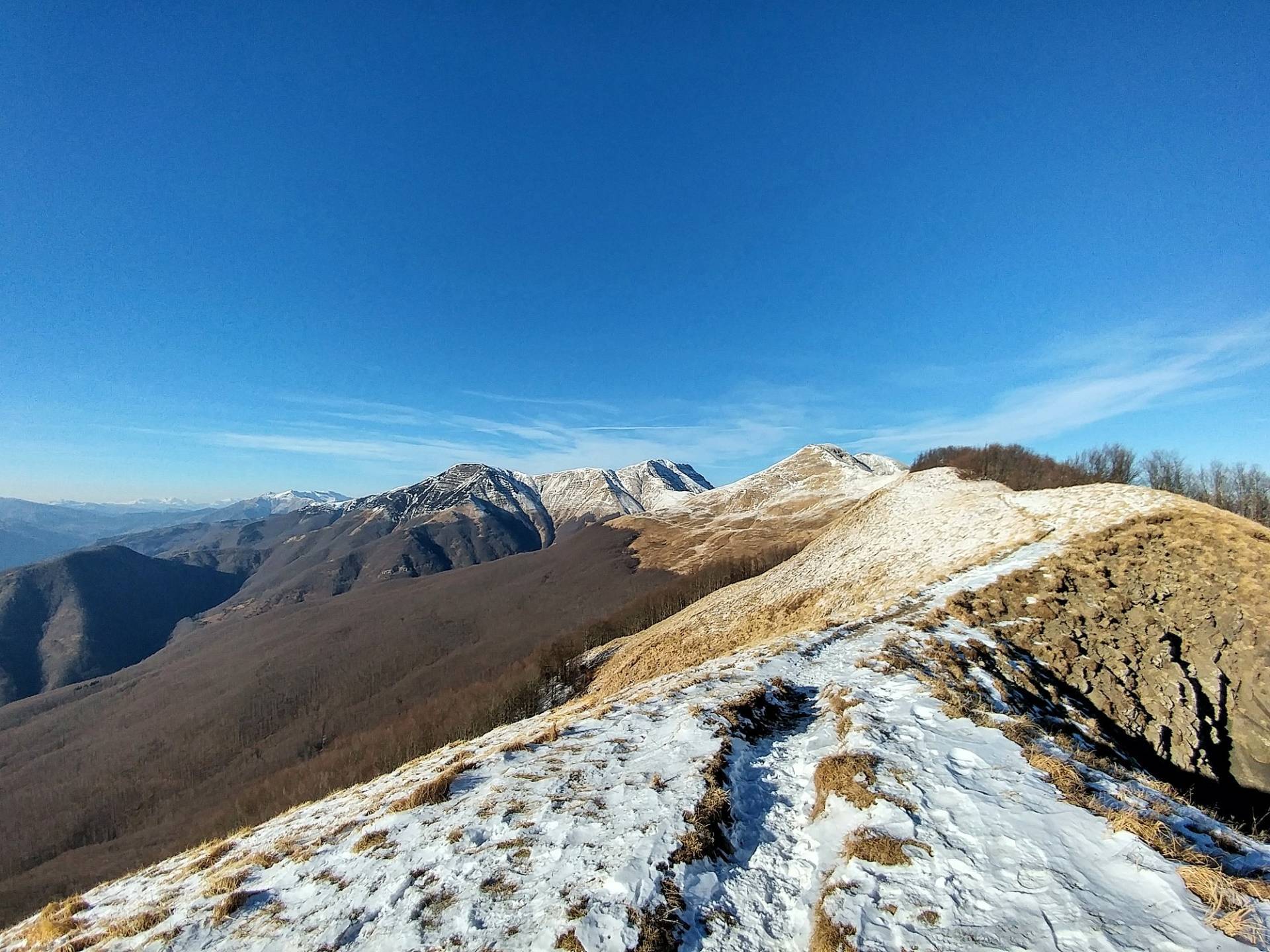 Proponiamo la vendita dell'attivita' di bar/ristorante/pizzeria in vendita a Abetone Cutigliano