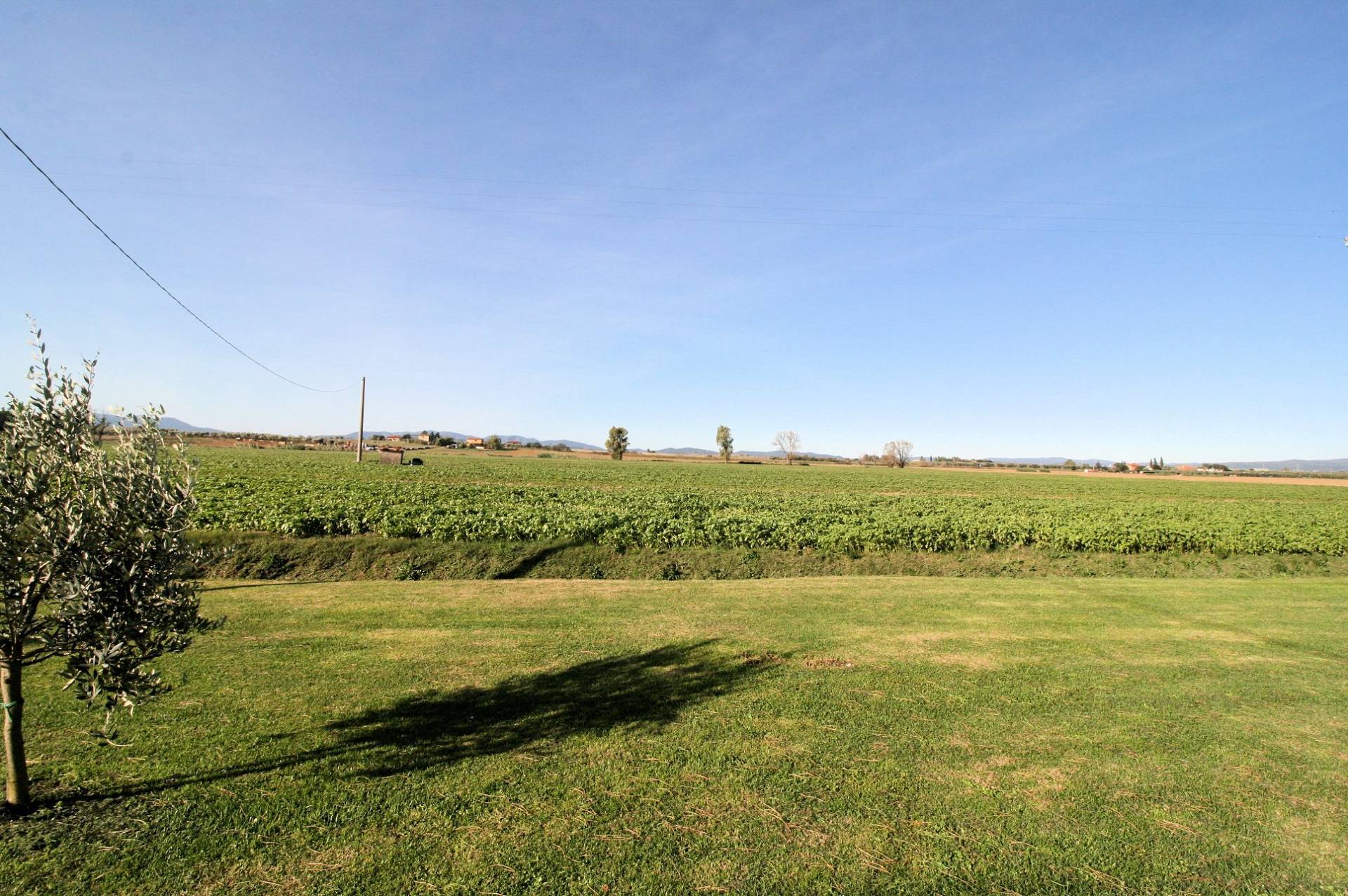 Porzione di podere ex Ente Maremma posta al piano terra con ampio terreno in vendita a Roccastrada