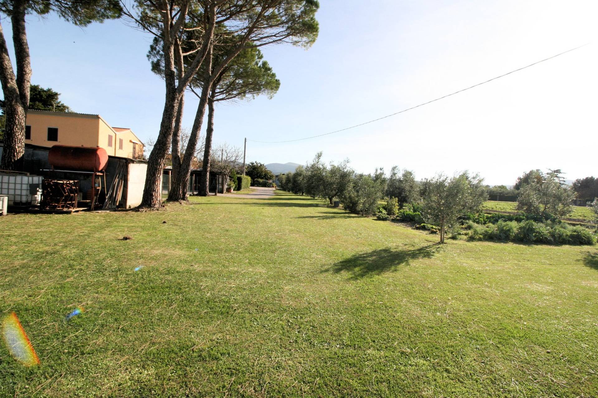 Porzione di podere ex Ente Maremma posta al piano terra con ampio terreno in vendita a Roccastrada