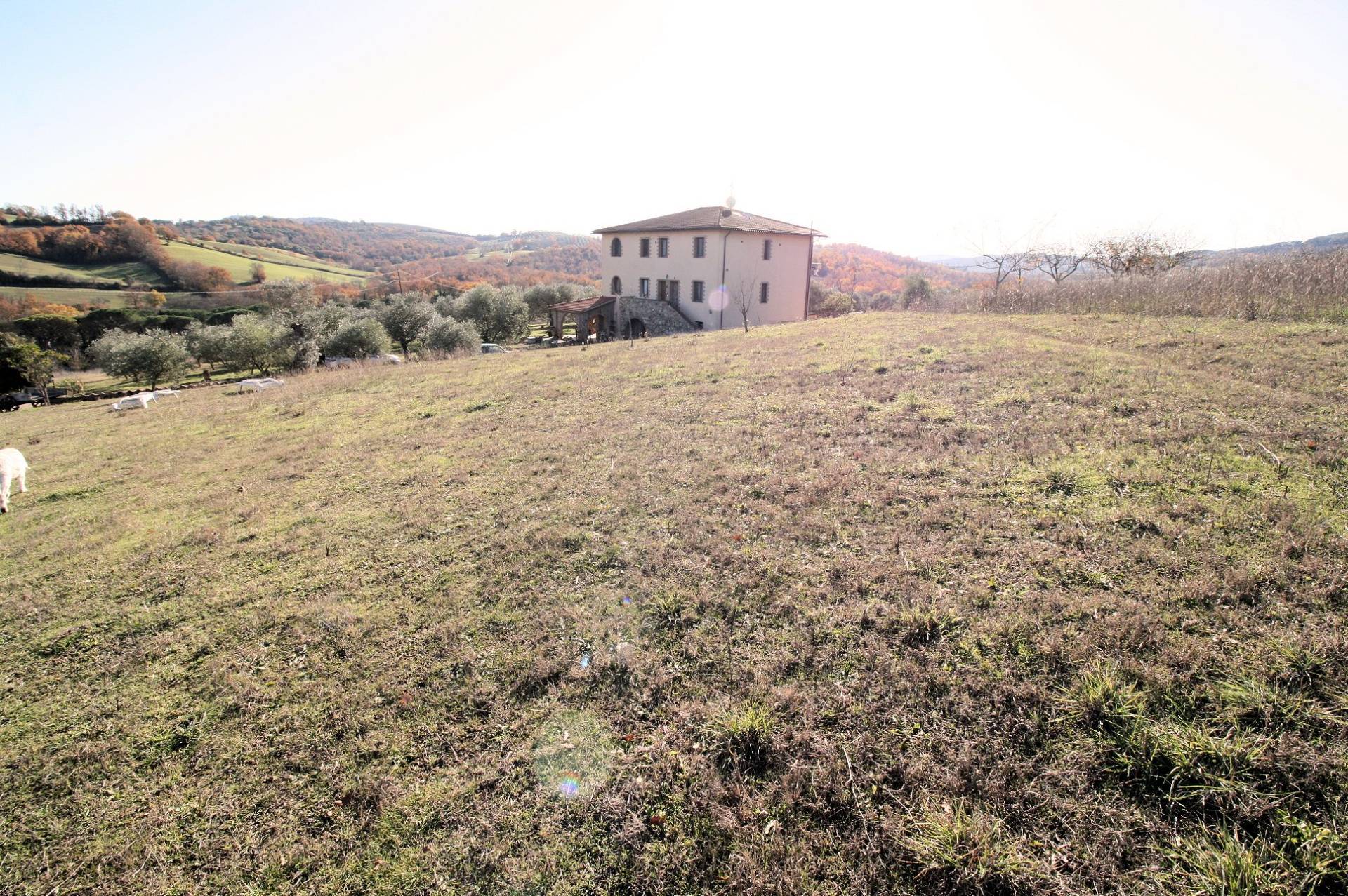 Azienda agricola con agriturismo in vendita a Civitella Paganico