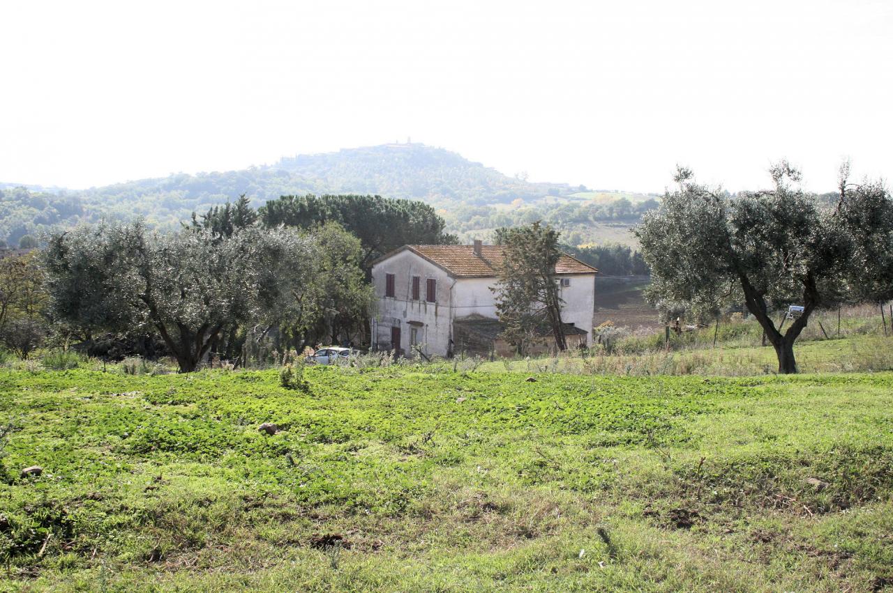 Azienda agricola in posizione collinare e panoramica in vendita a Magliano in Toscana, Montiano