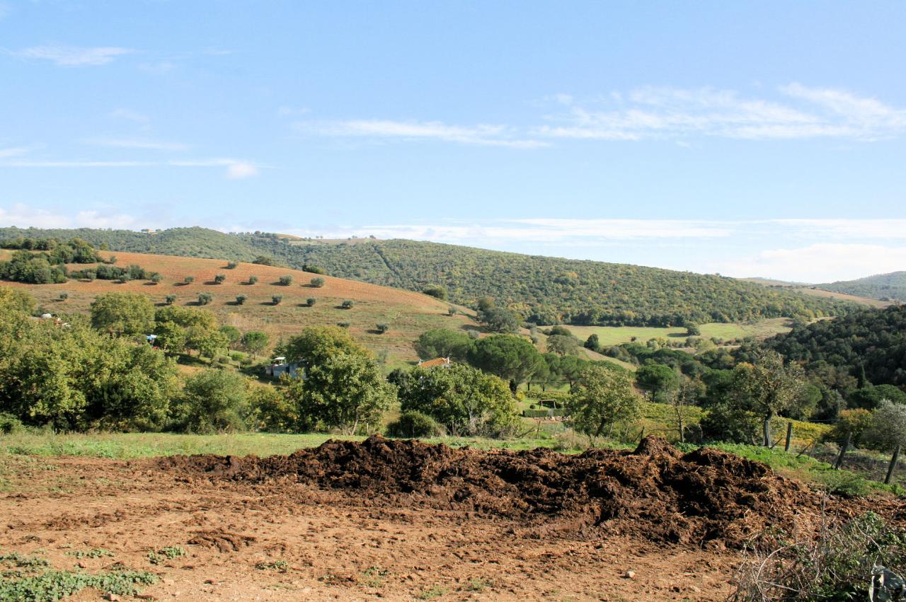 Azienda agricola in posizione collinare e panoramica in vendita a Magliano in Toscana, Montiano