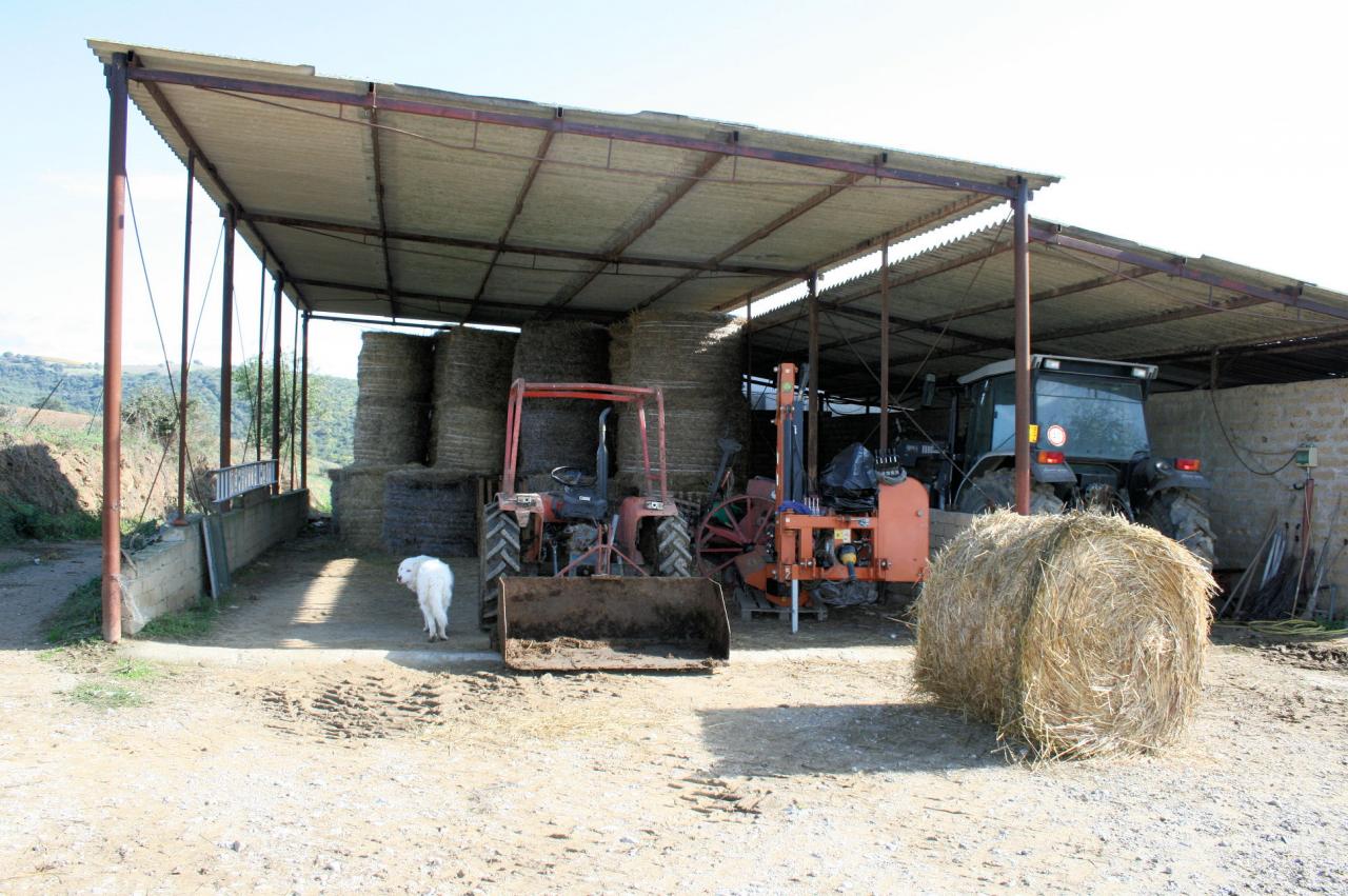 Azienda agricola in posizione collinare e panoramica in vendita a Magliano in Toscana, Montiano