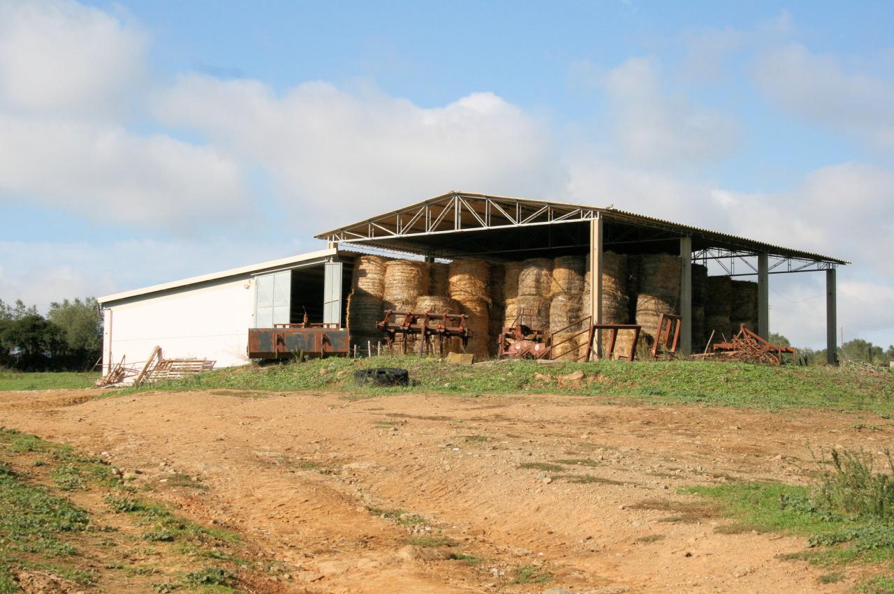 Azienda agricola in posizione collinare e panoramica in vendita a Magliano in Toscana, Montiano