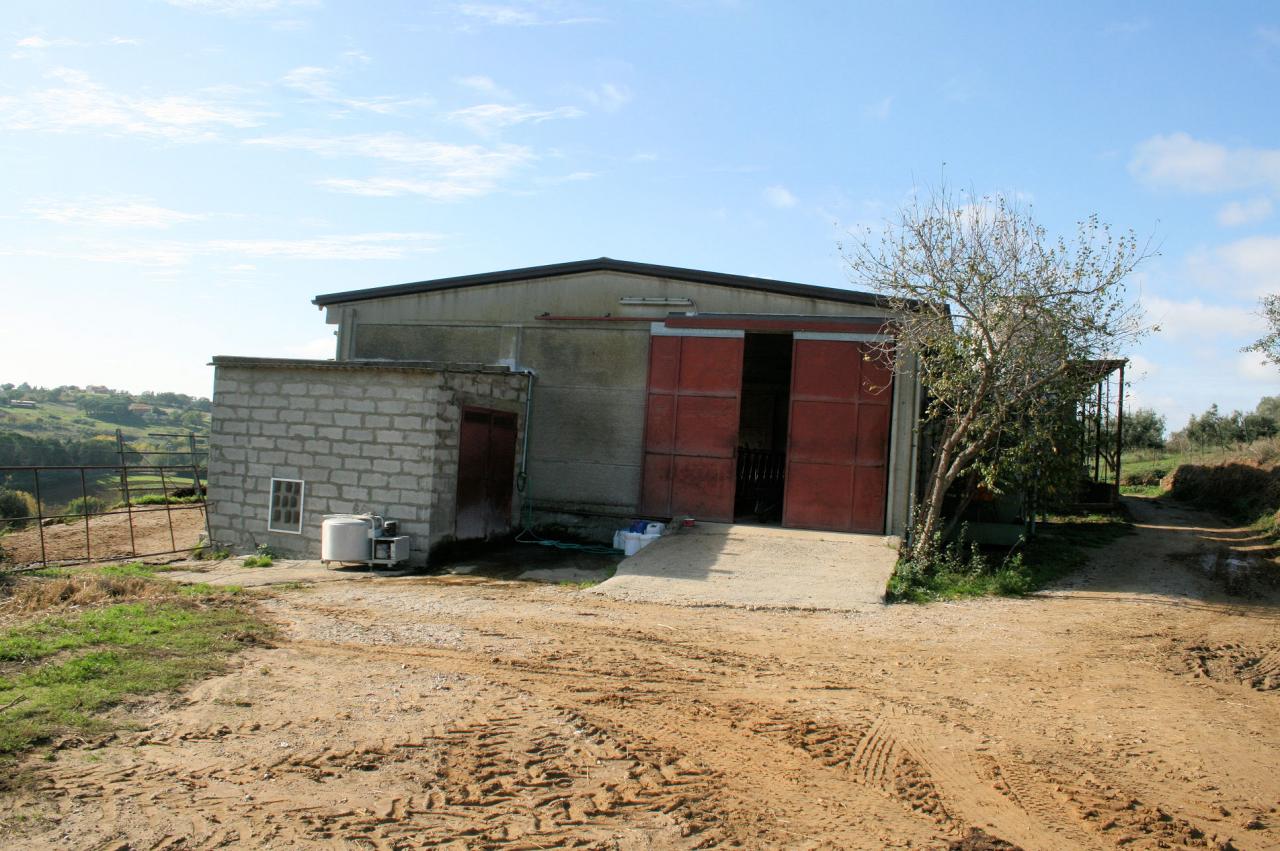 Azienda agricola in posizione collinare e panoramica in vendita a Magliano in Toscana, Montiano
