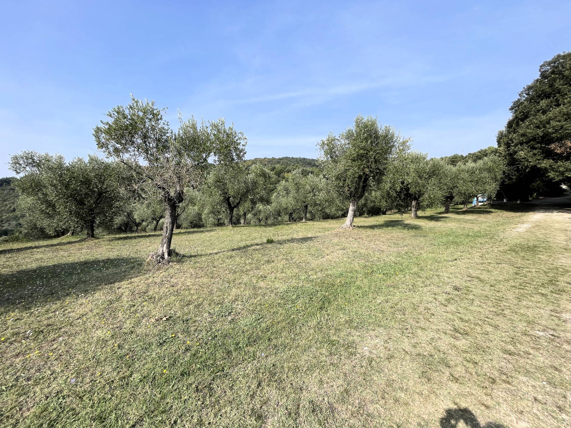 Agriturismo con ampio terreno con vista panoramica in vendita a Vecchiano
